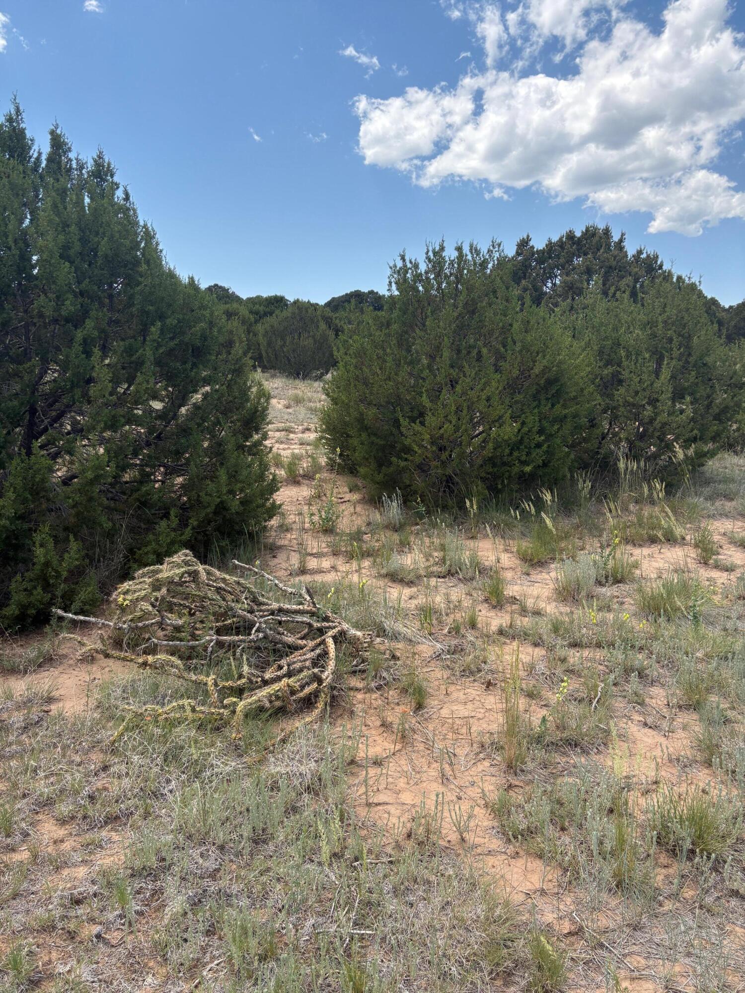  Wilson Ranch Lot#8, Tajique, NM 87016