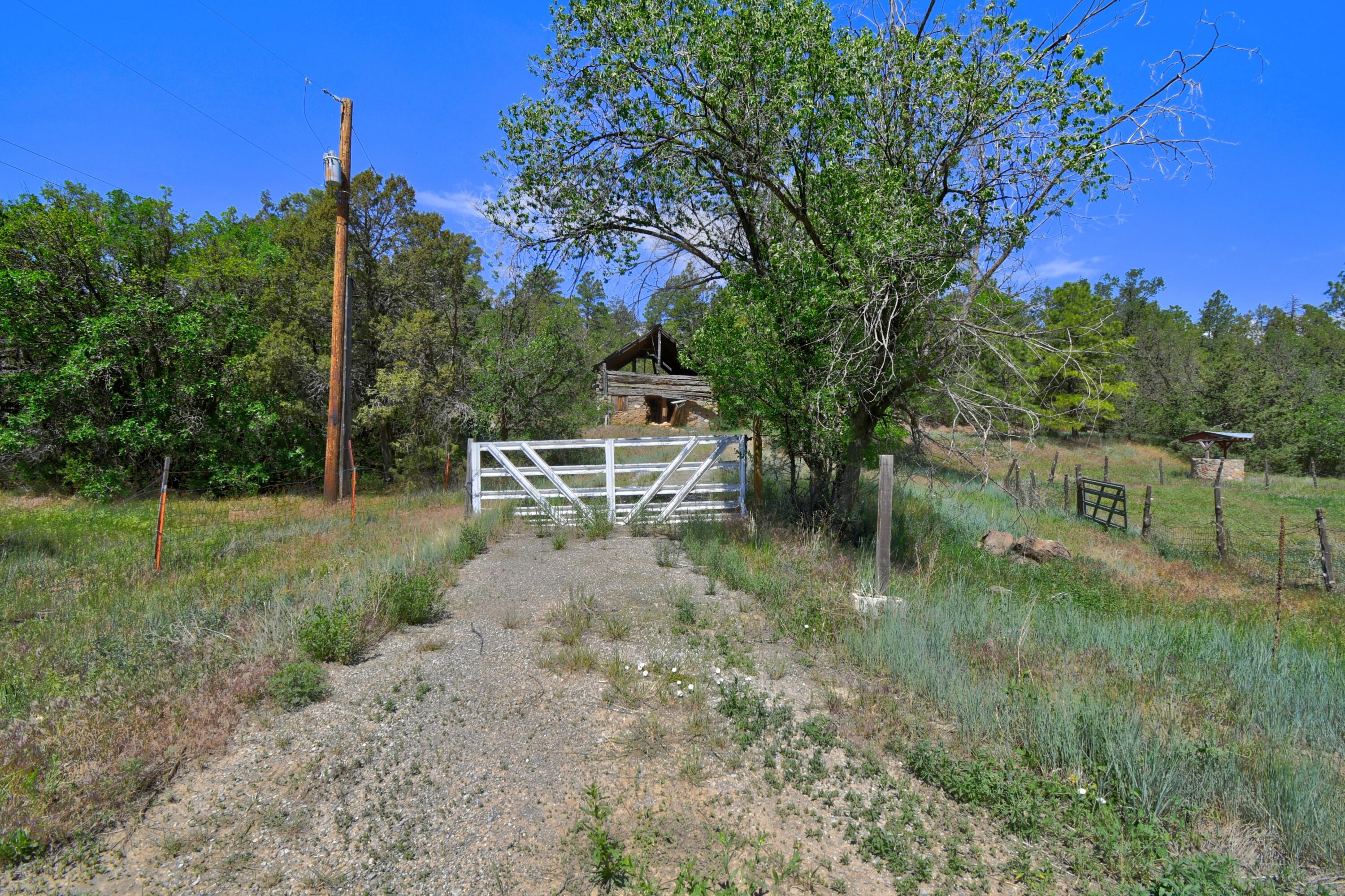 146 Skyland Boulevard