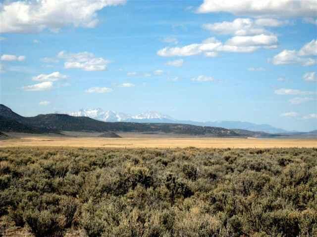 Photo 6 —  Unit 1 Lot 5 Costilla Meadows