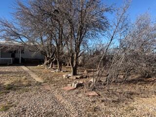 Photo 11 — 325 Harris Road