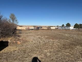 Photo 16 — 325 Harris Road