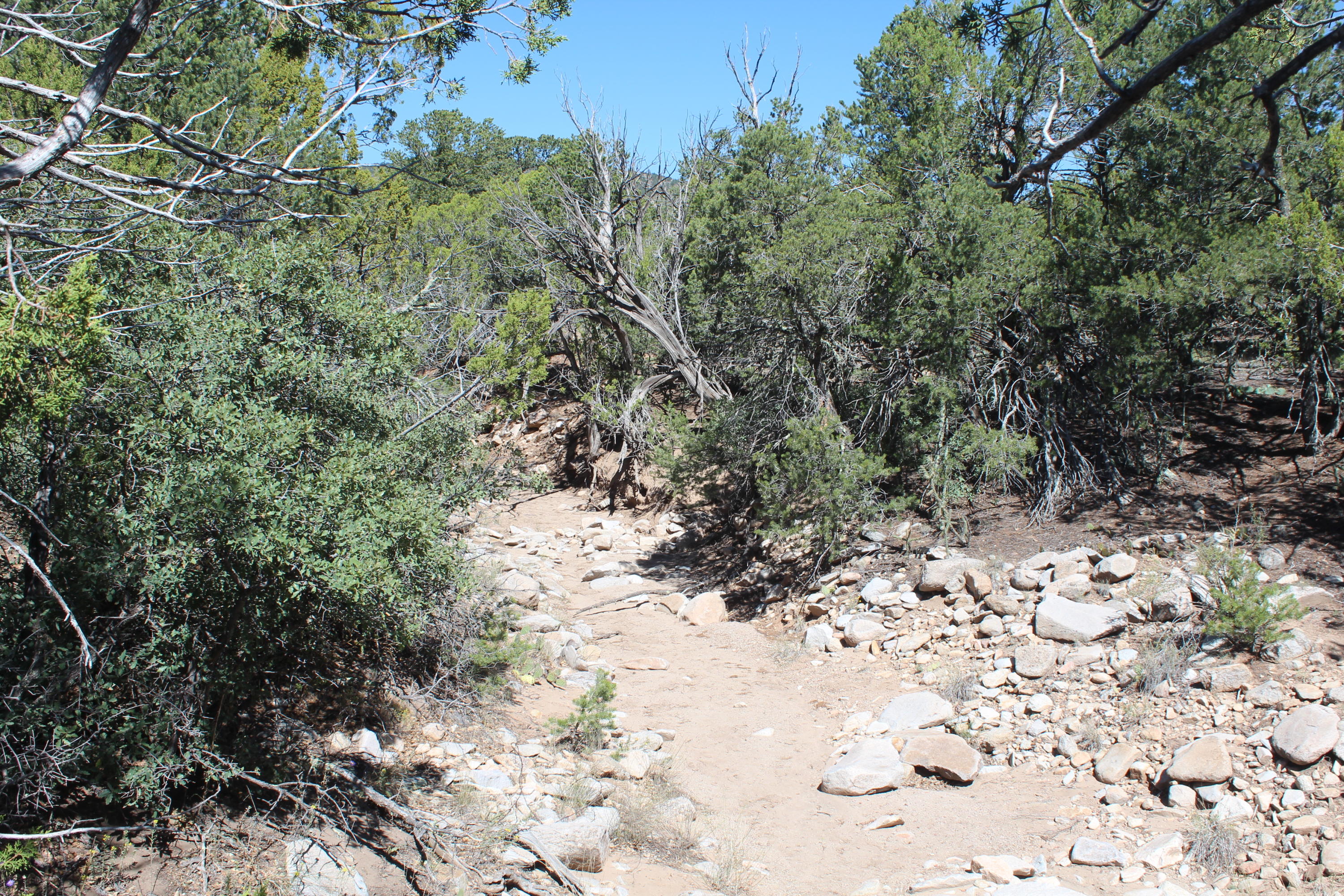Photo 11 — 19 Camino Monte Azul