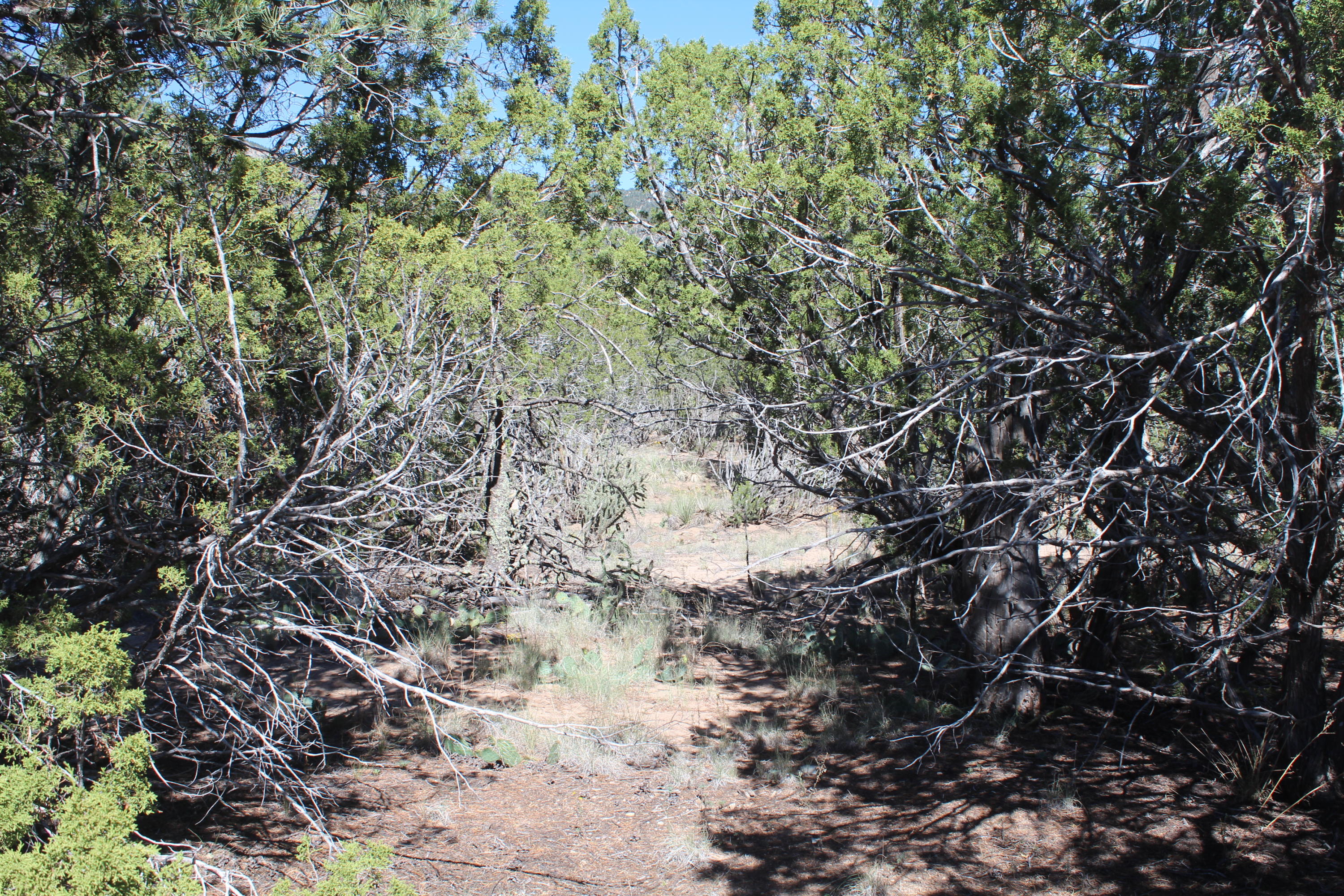 Photo 9 — 19 Camino Monte Azul