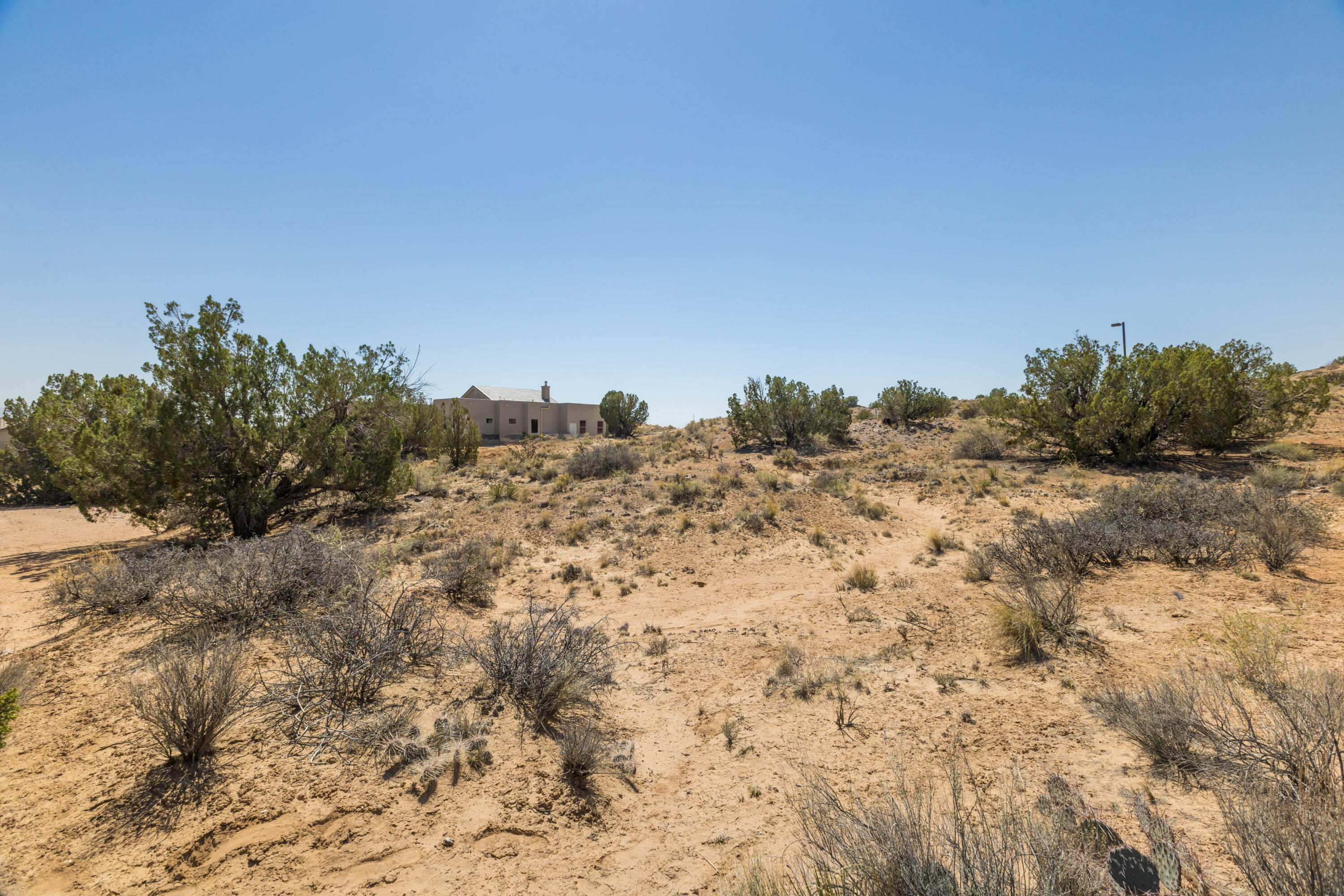 Photo 7 — 2308 Desert Marigold Road NE