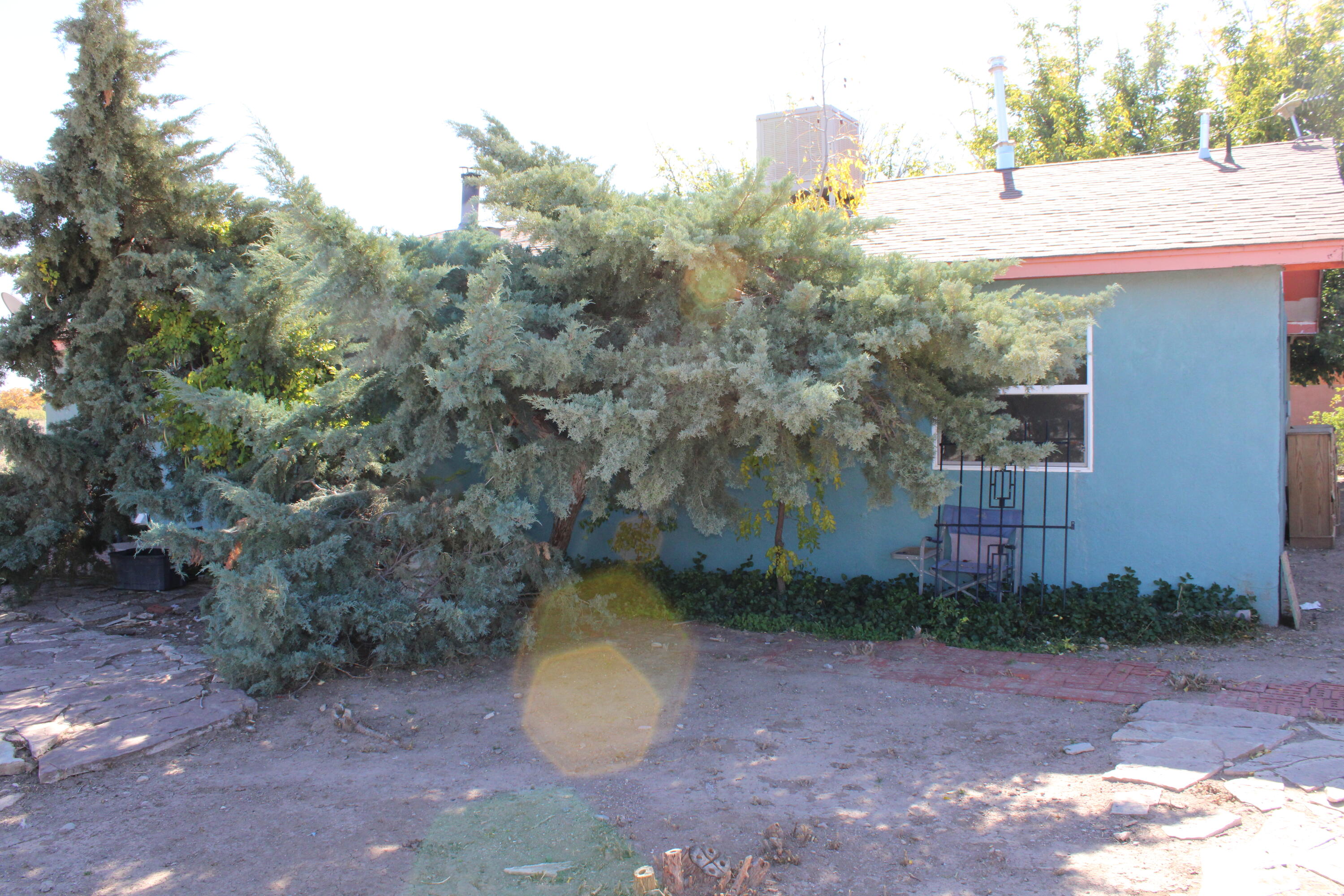 Photo 16 — 603 Coulson Drive