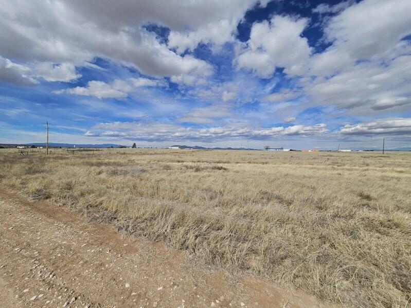 Photo 5 —  Bates Road