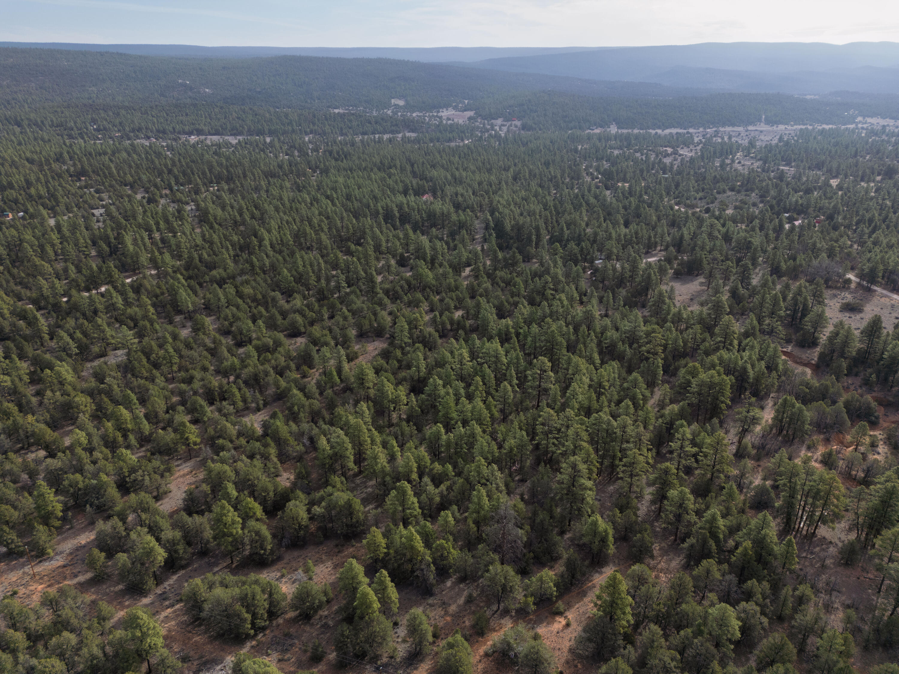 Photo 20 — Lot 44/45 W Elk Drive
