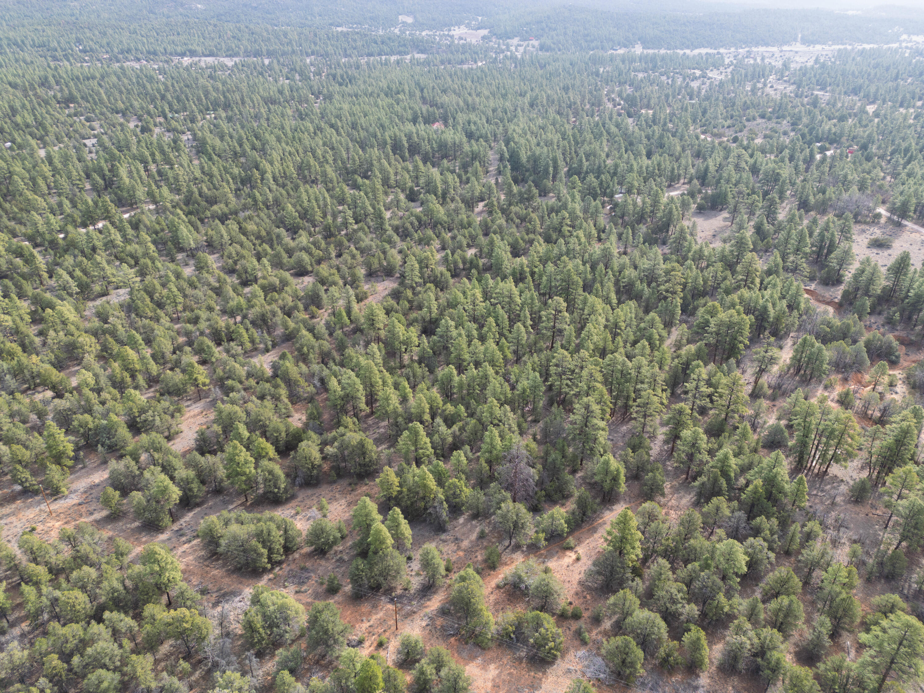 Photo 19 — Lot 44/45 W Elk Drive