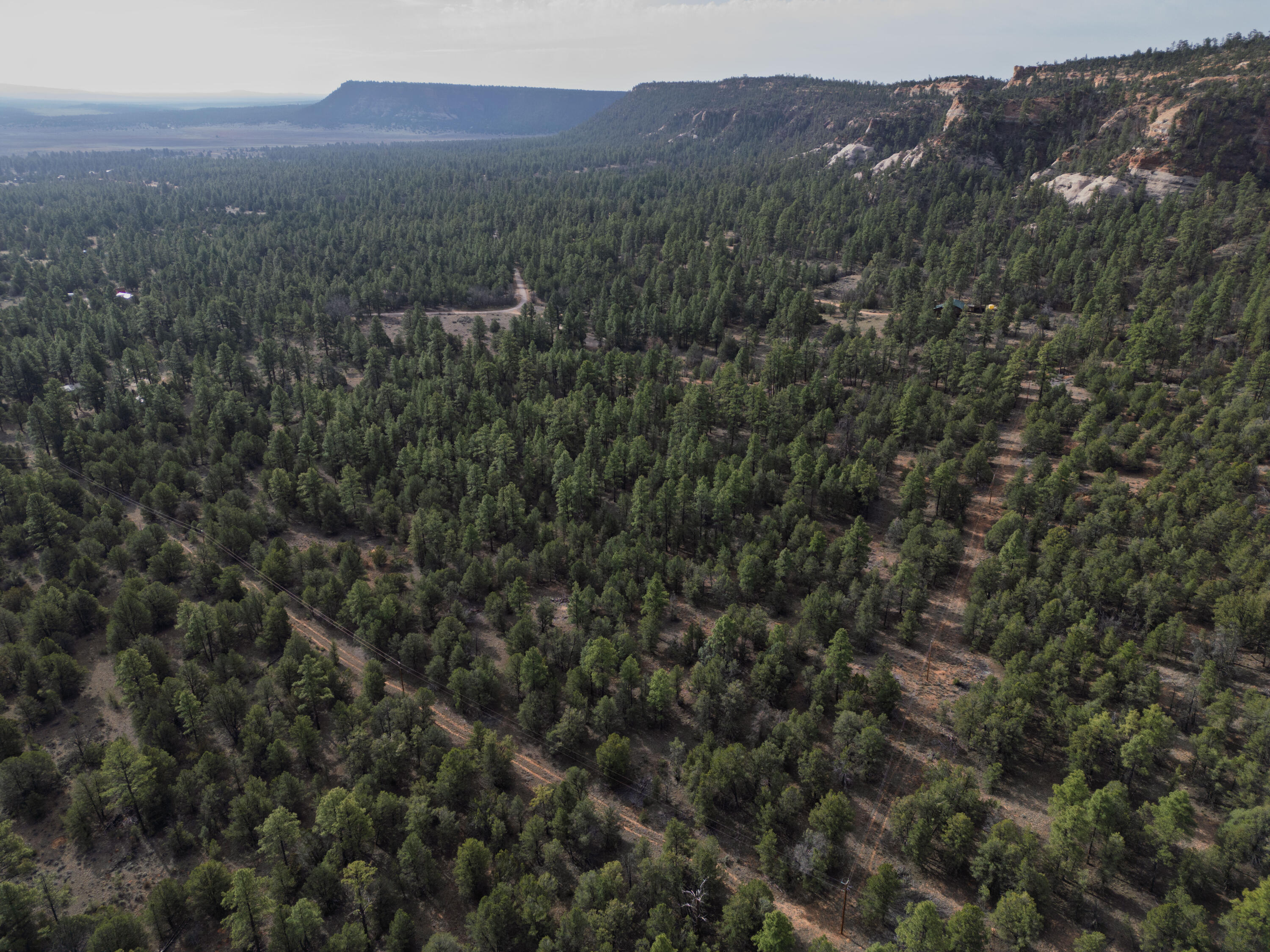 Photo 18 — Lot 44/45 W Elk Drive