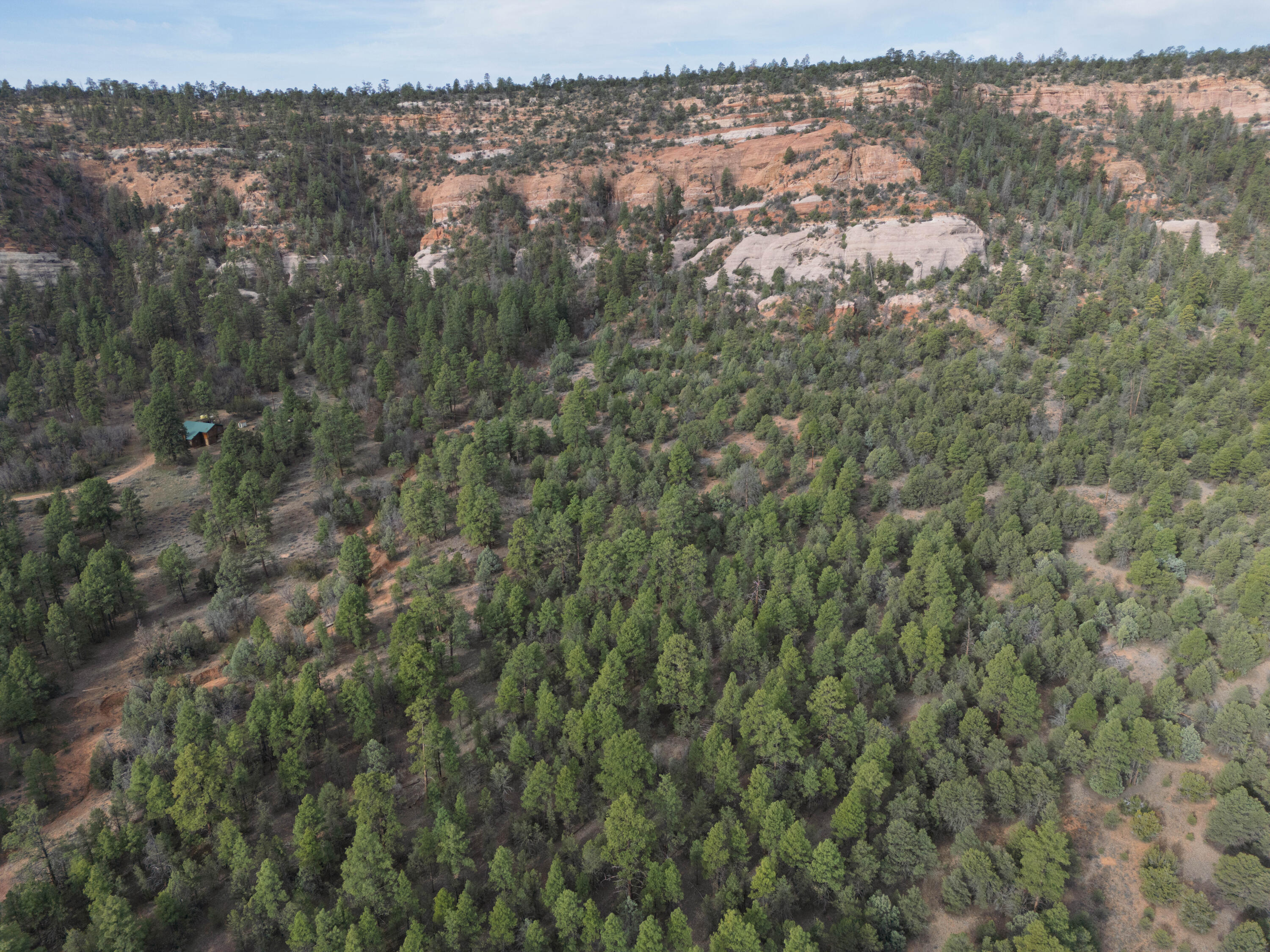 Photo 15 — Lot 44/45 W Elk Drive