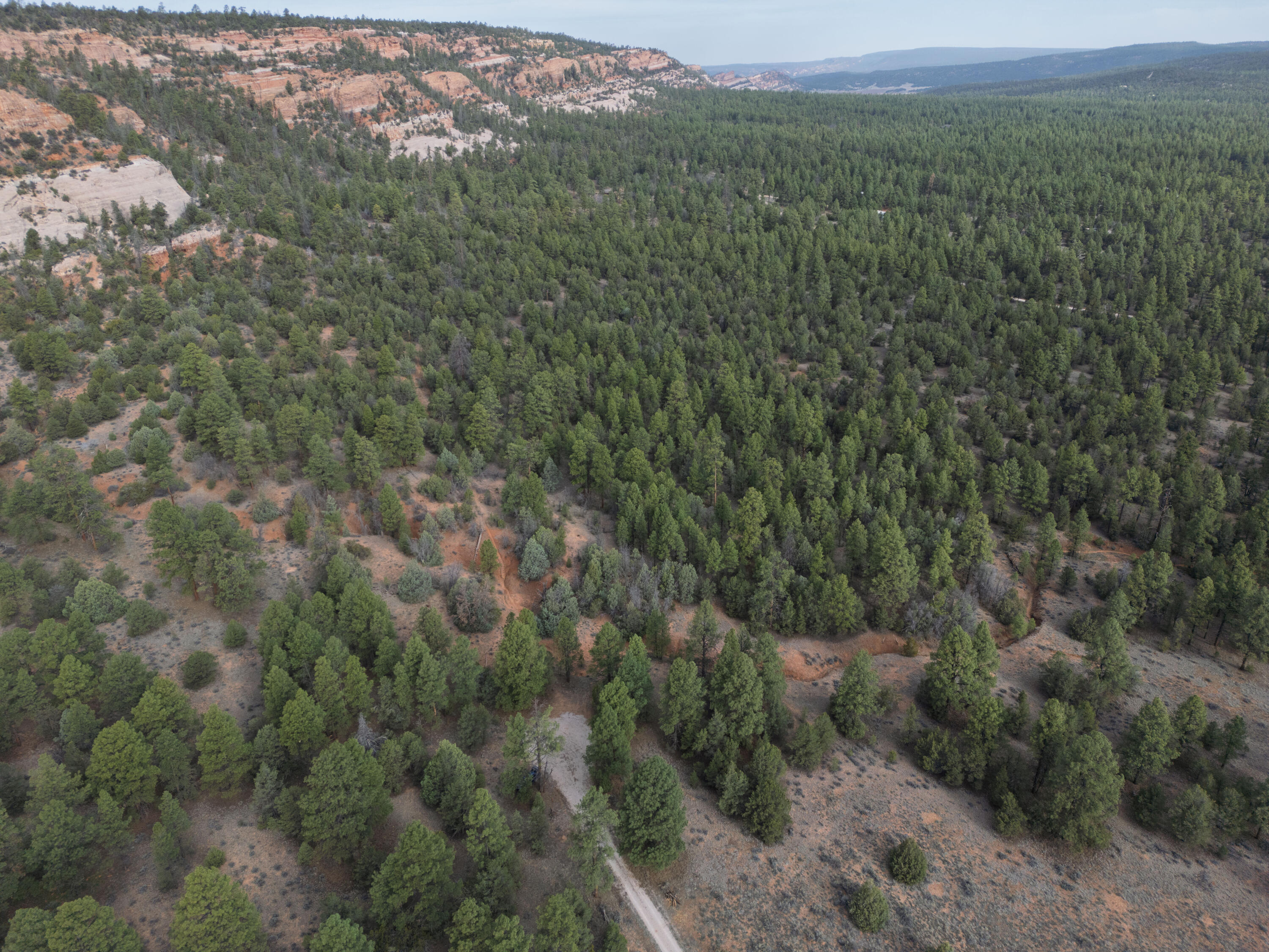 Photo 14 — Lot 44/45 W Elk Drive