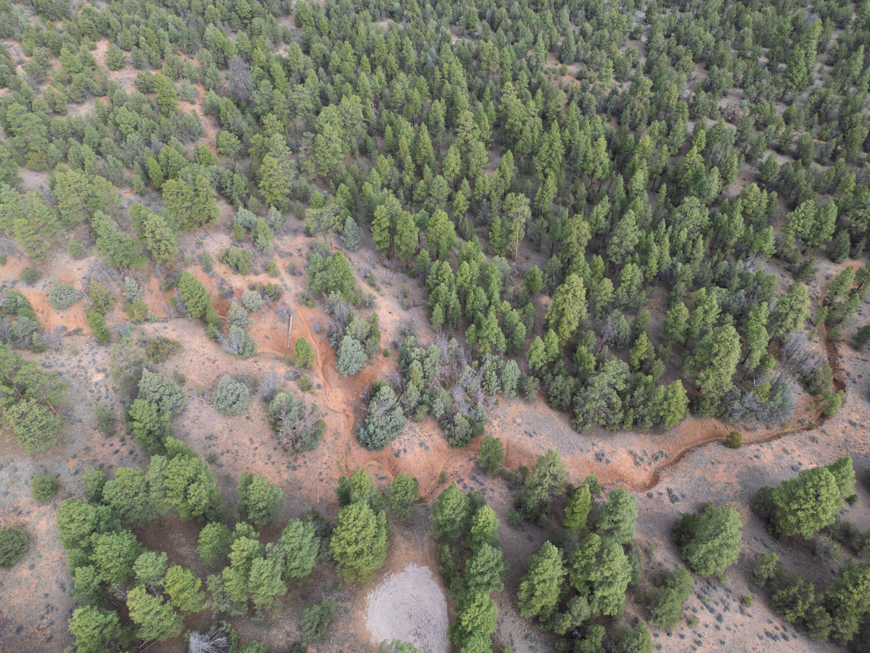 Photo 13 — Lot 44/45 W Elk Drive