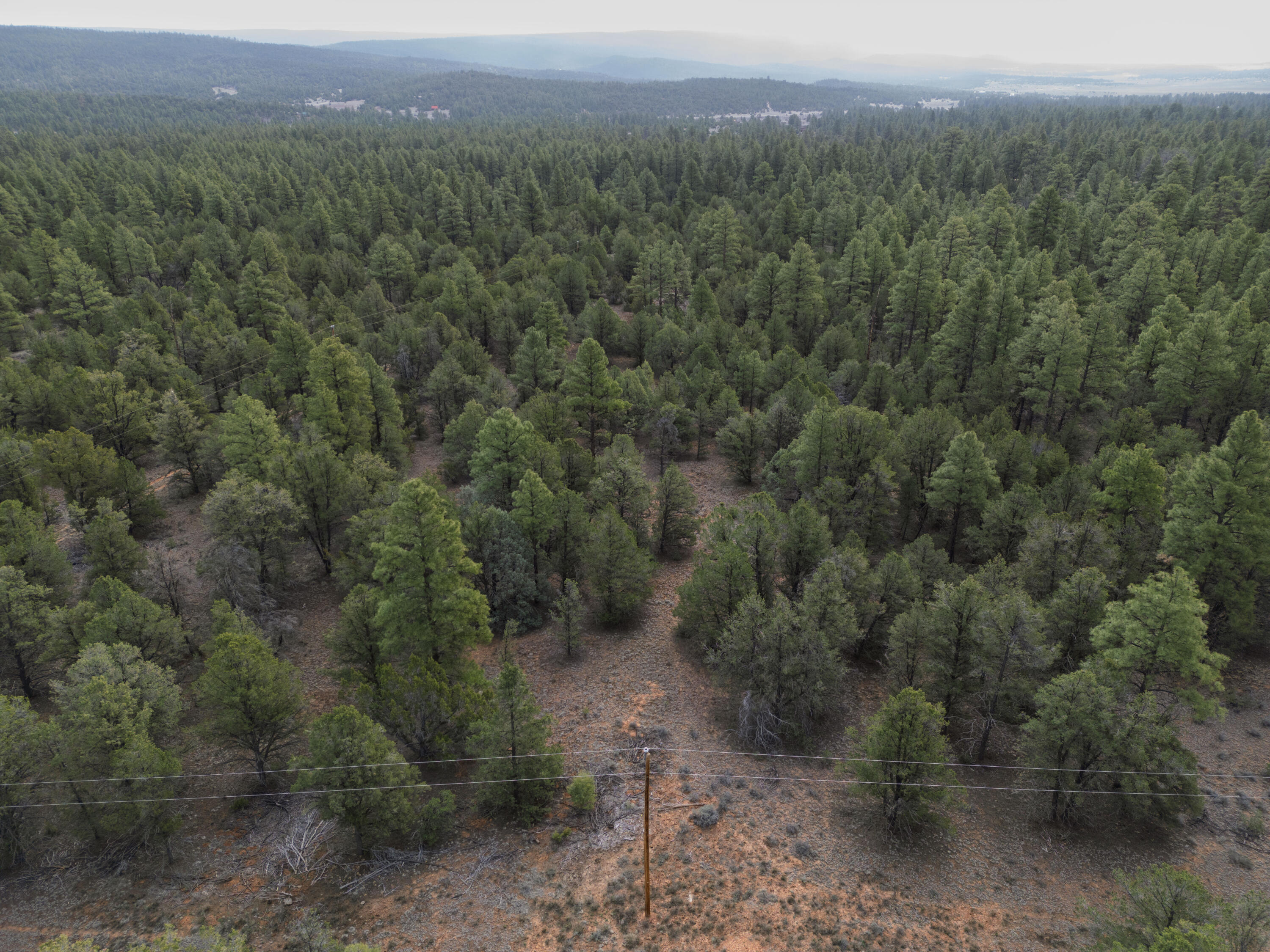 Photo 12 — Lot 44/45 W Elk Drive