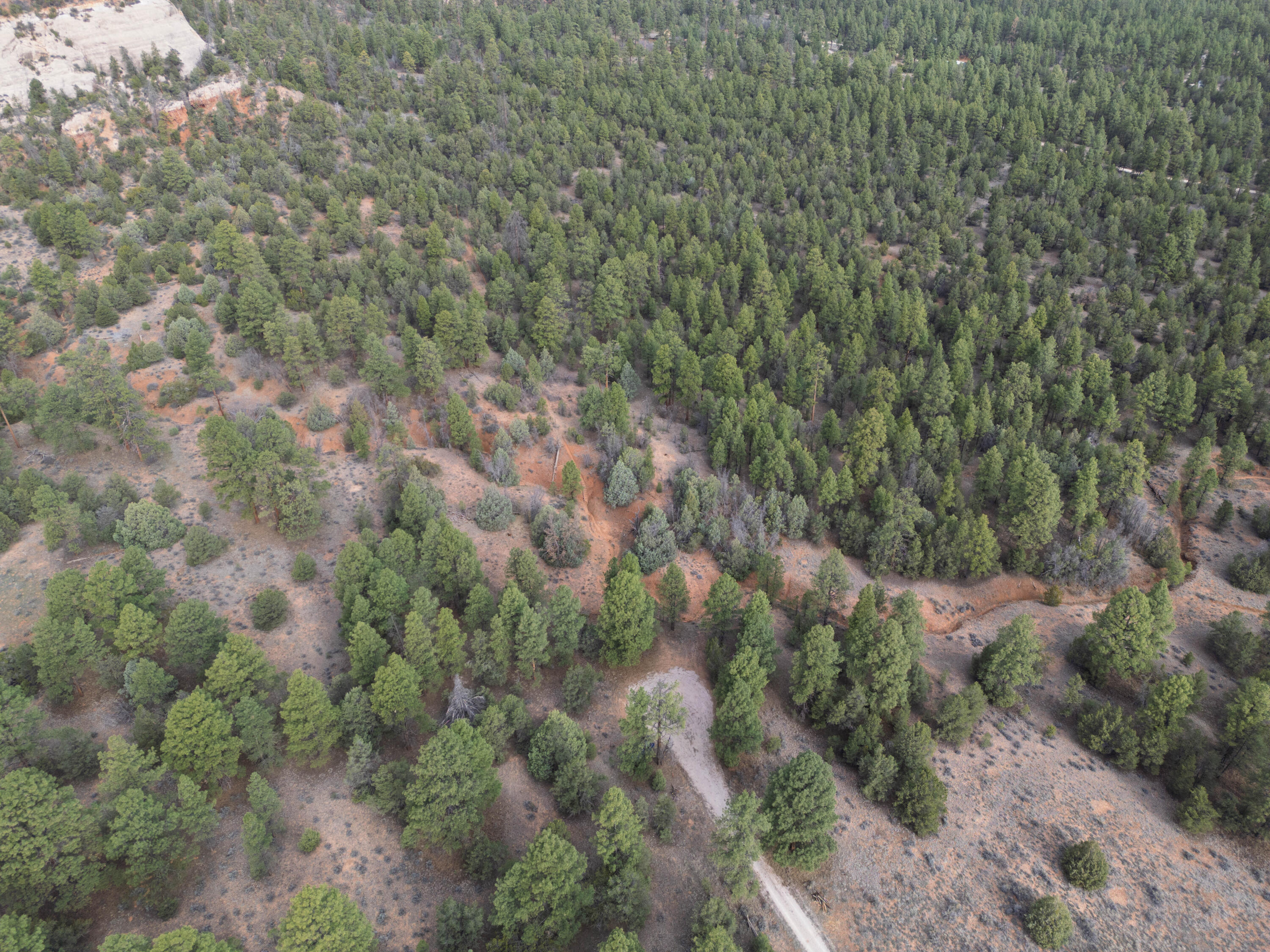 Photo 11 — Lot 44/45 W Elk Drive