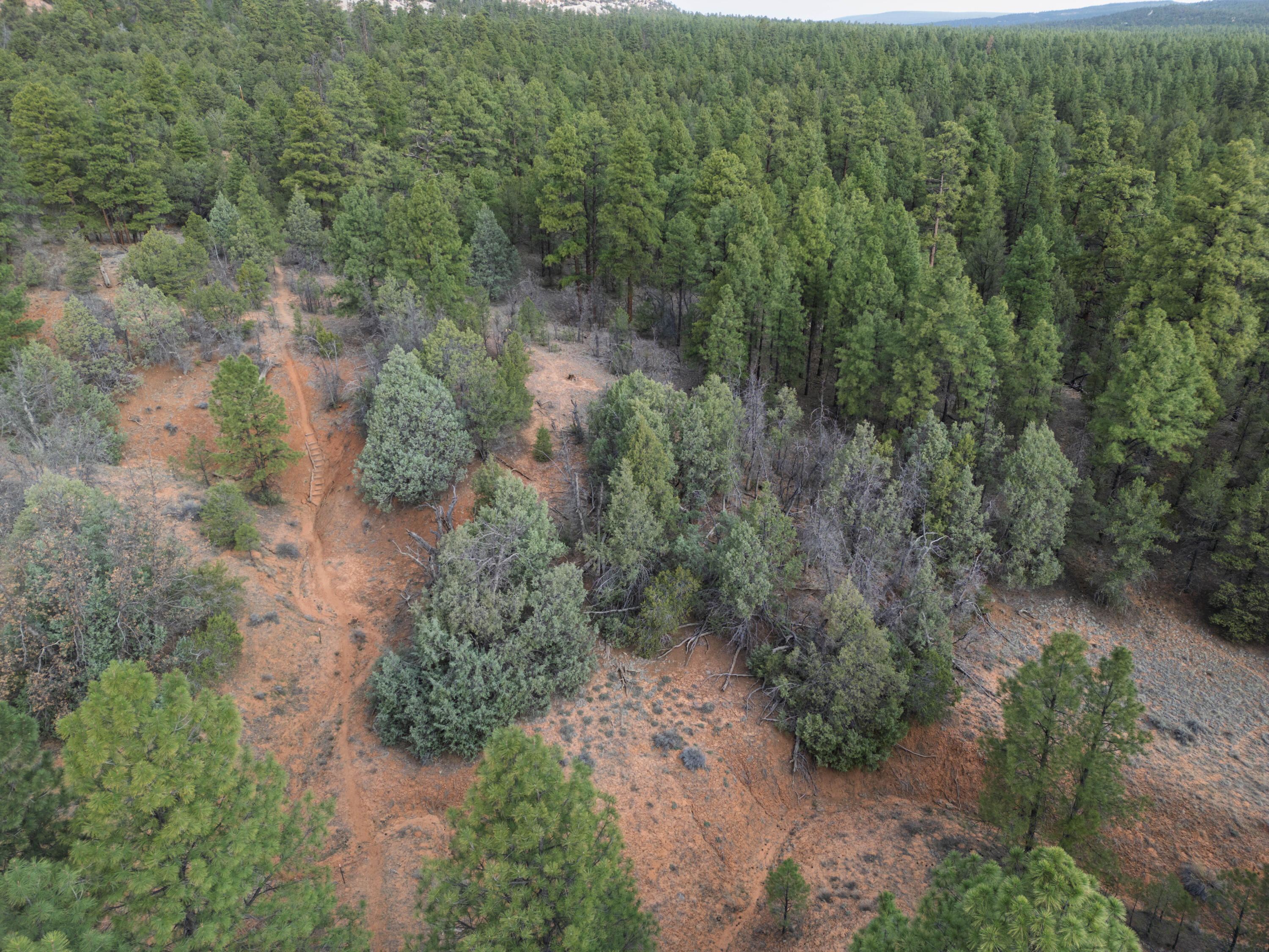Photo 10 — Lot 44/45 W Elk Drive