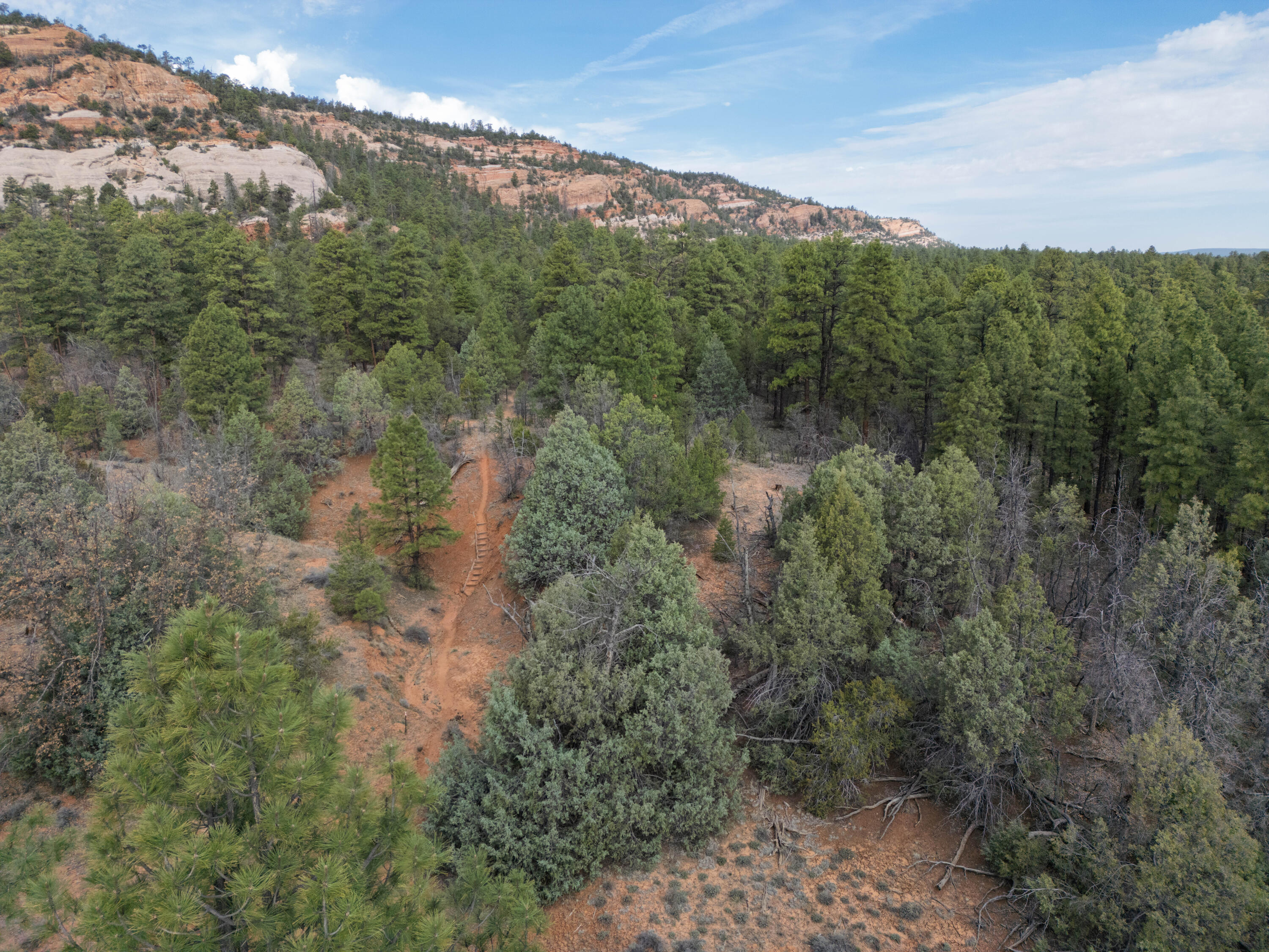 Photo 9 — Lot 44/45 W Elk Drive