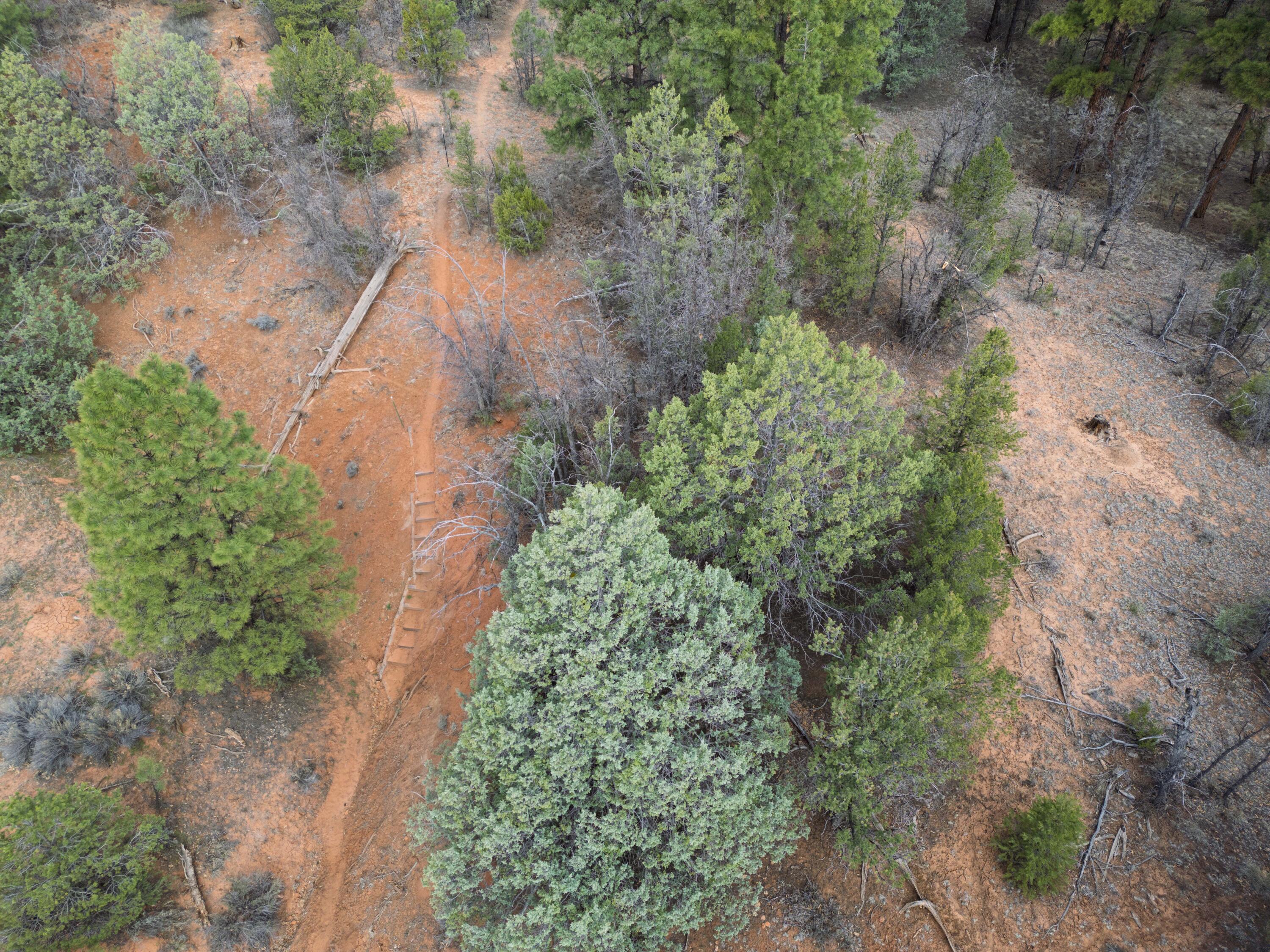 Photo 8 — Lot 44/45 W Elk Drive