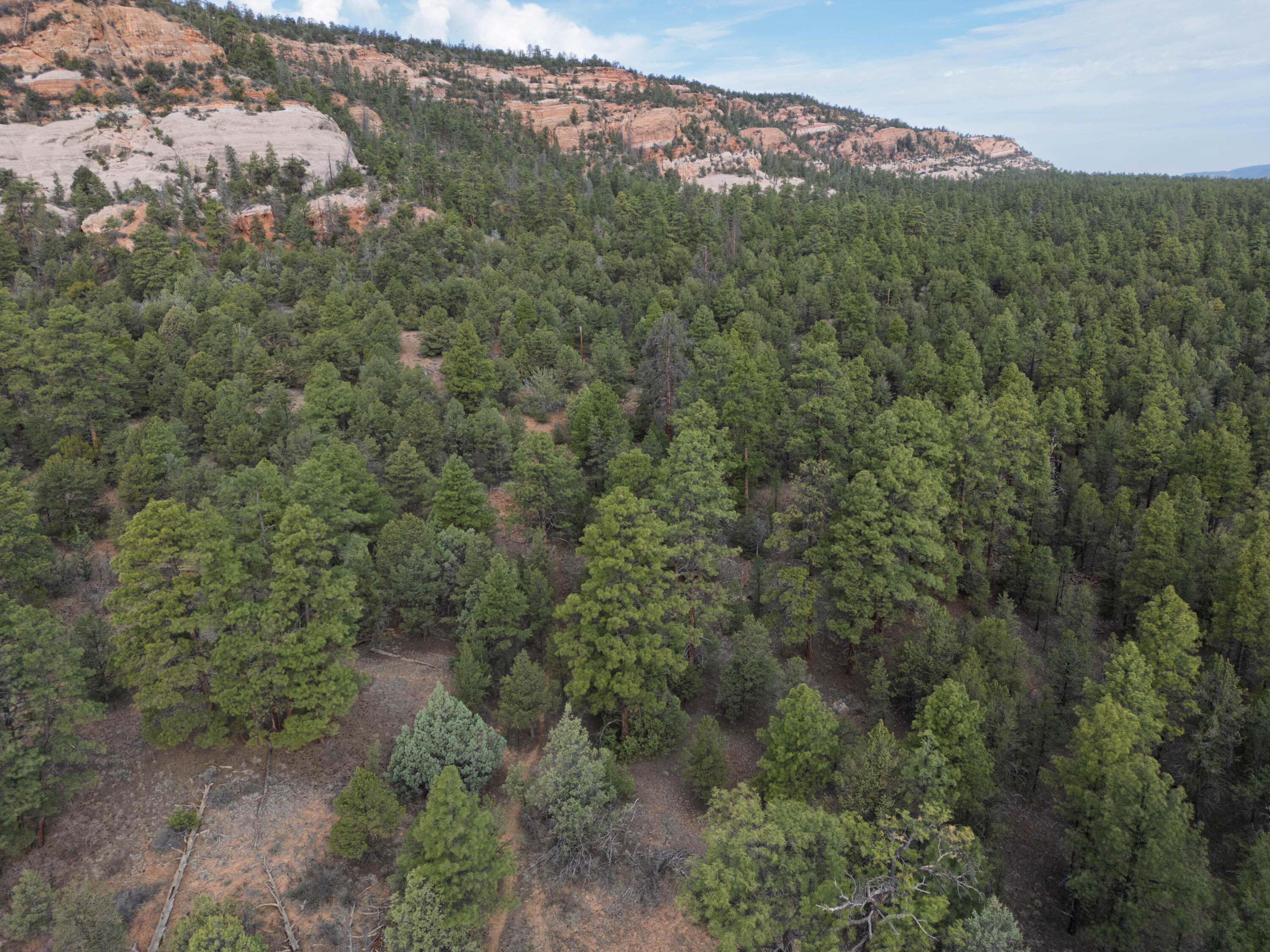 Photo 7 — Lot 44/45 W Elk Drive