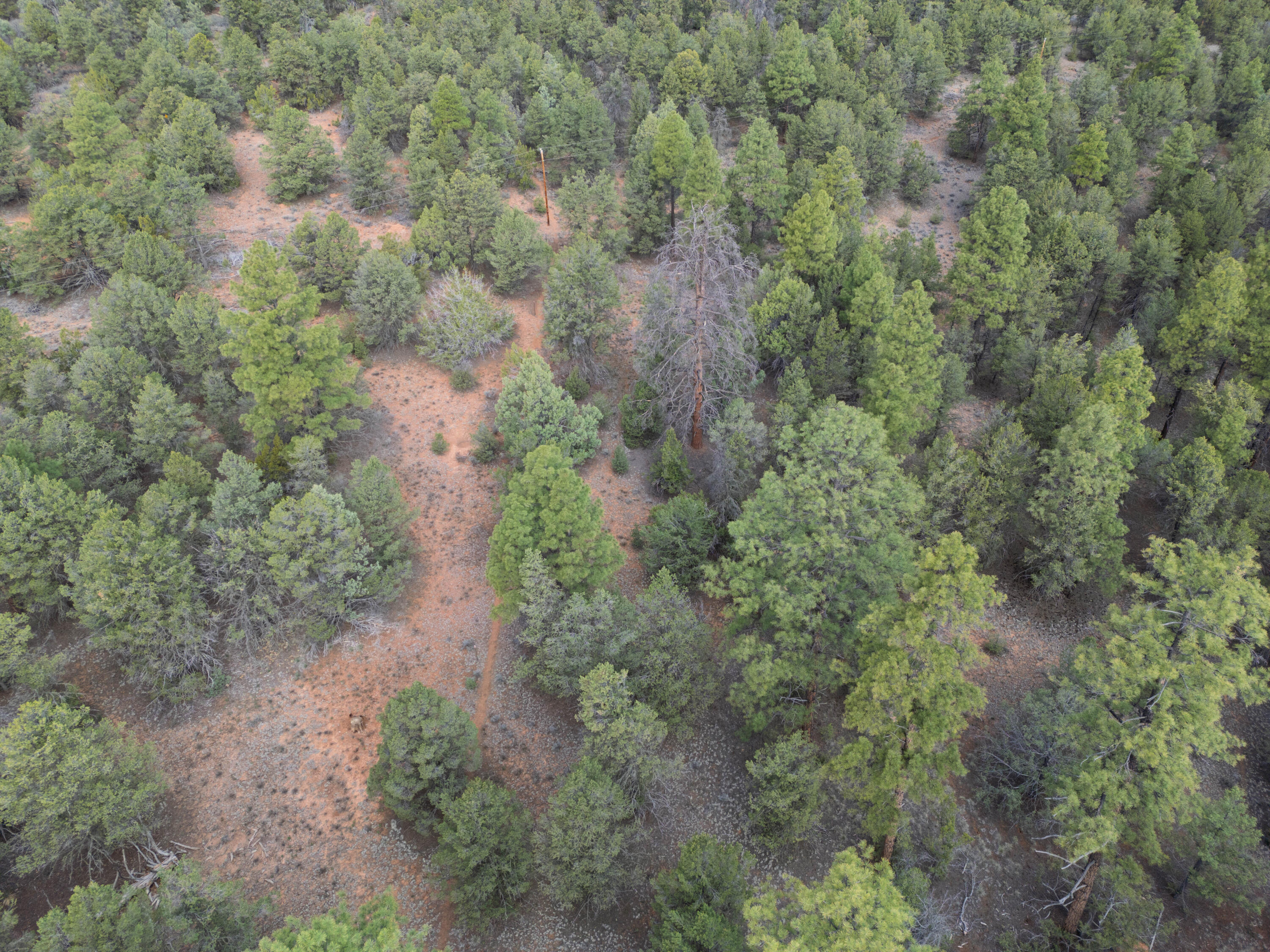 Photo 6 — Lot 44/45 W Elk Drive