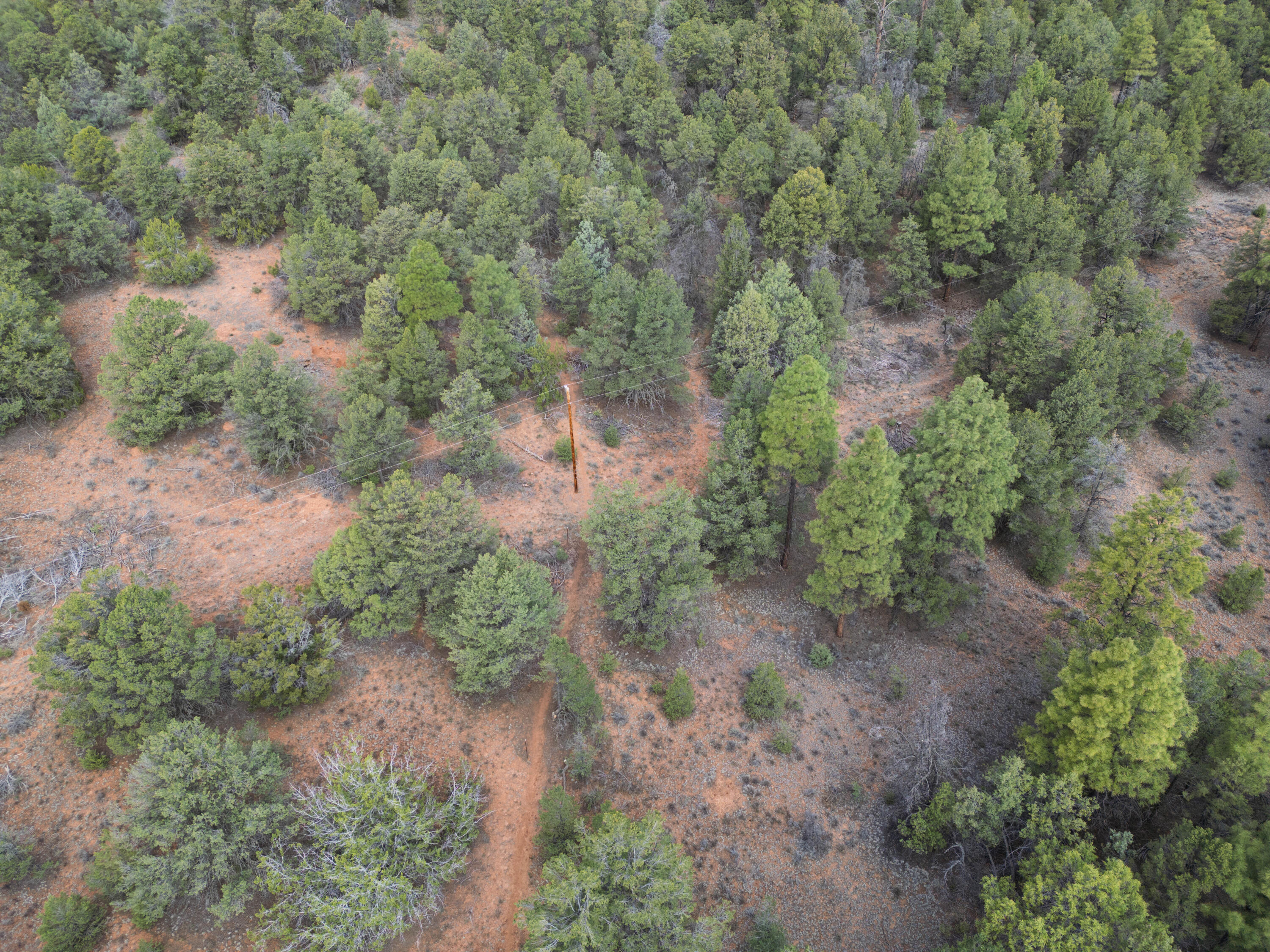Photo 5 — Lot 44/45 W Elk Drive