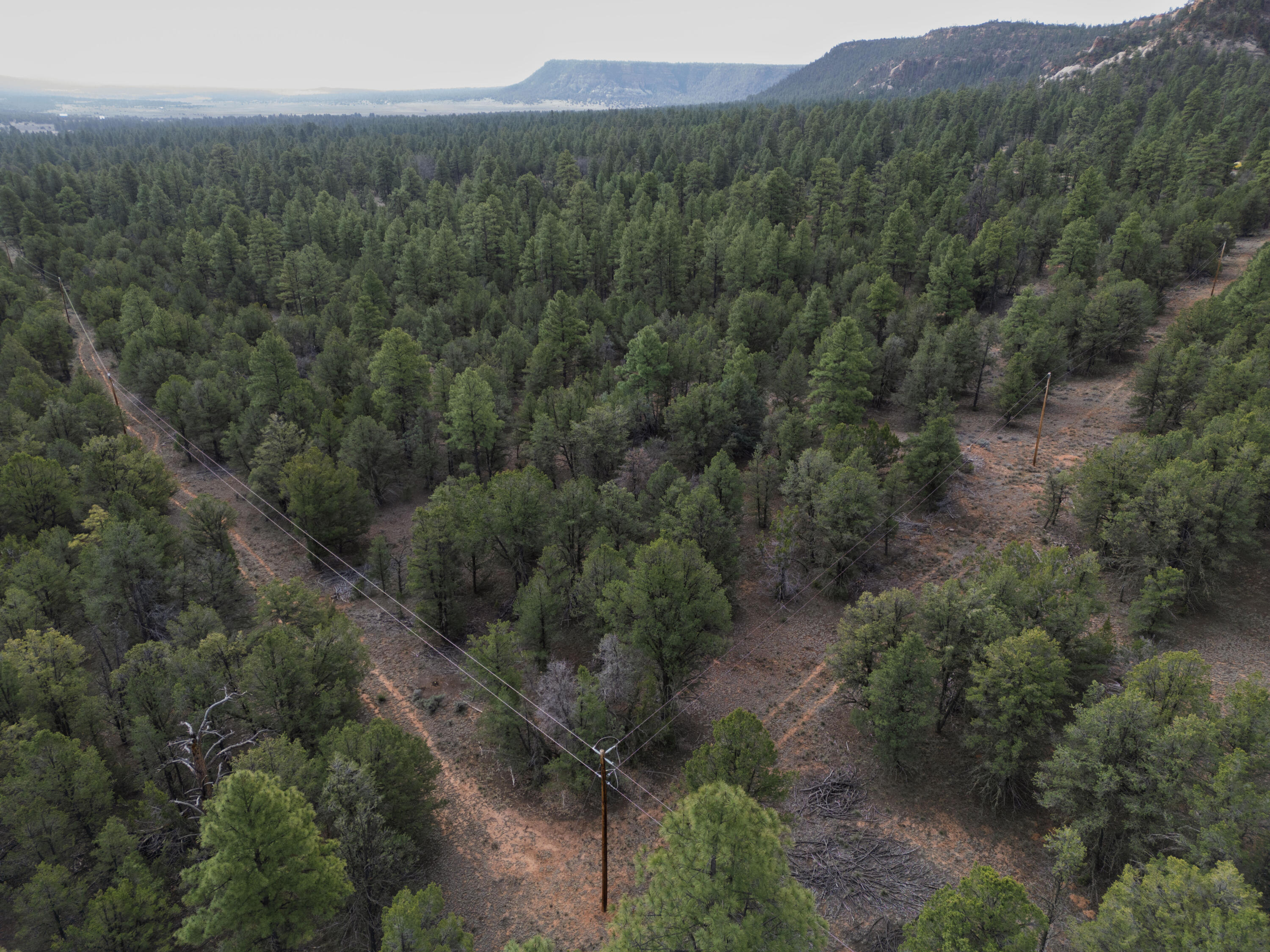 Photo 4 — Lot 44/45 W Elk Drive