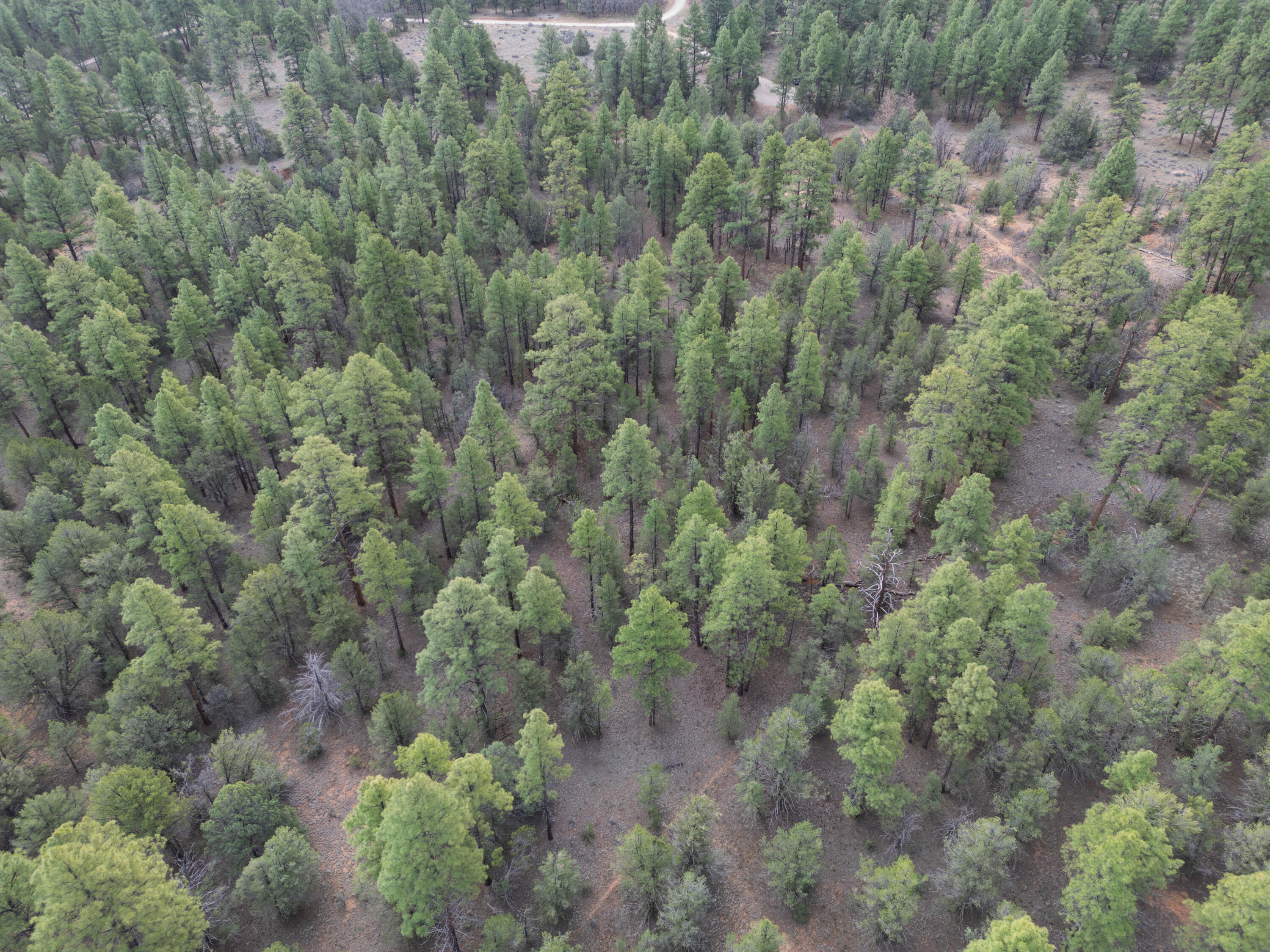 Photo 3 — Lot 44/45 W Elk Drive