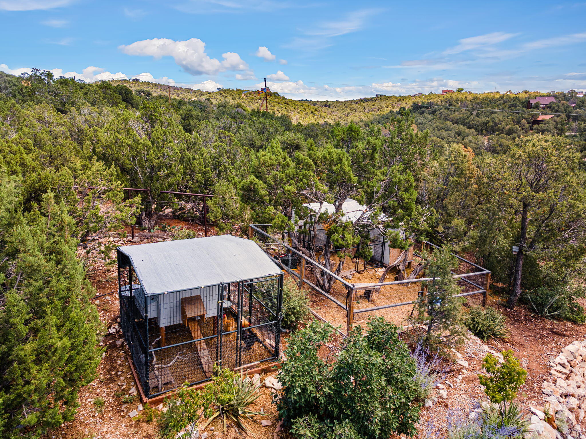Photo 17 — 75 Canyon Road