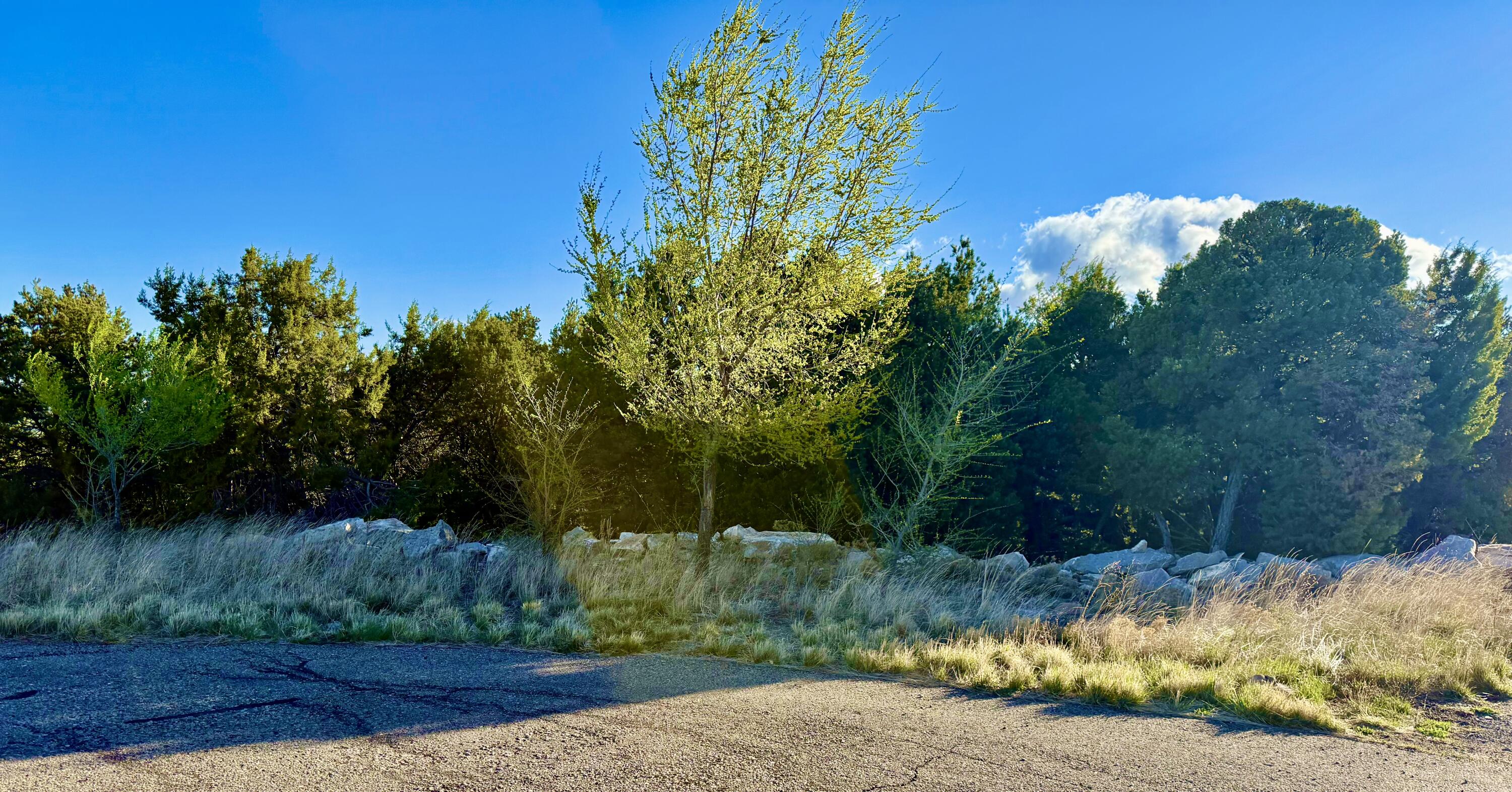 Photo 14 — 221 Via Sedillo Road