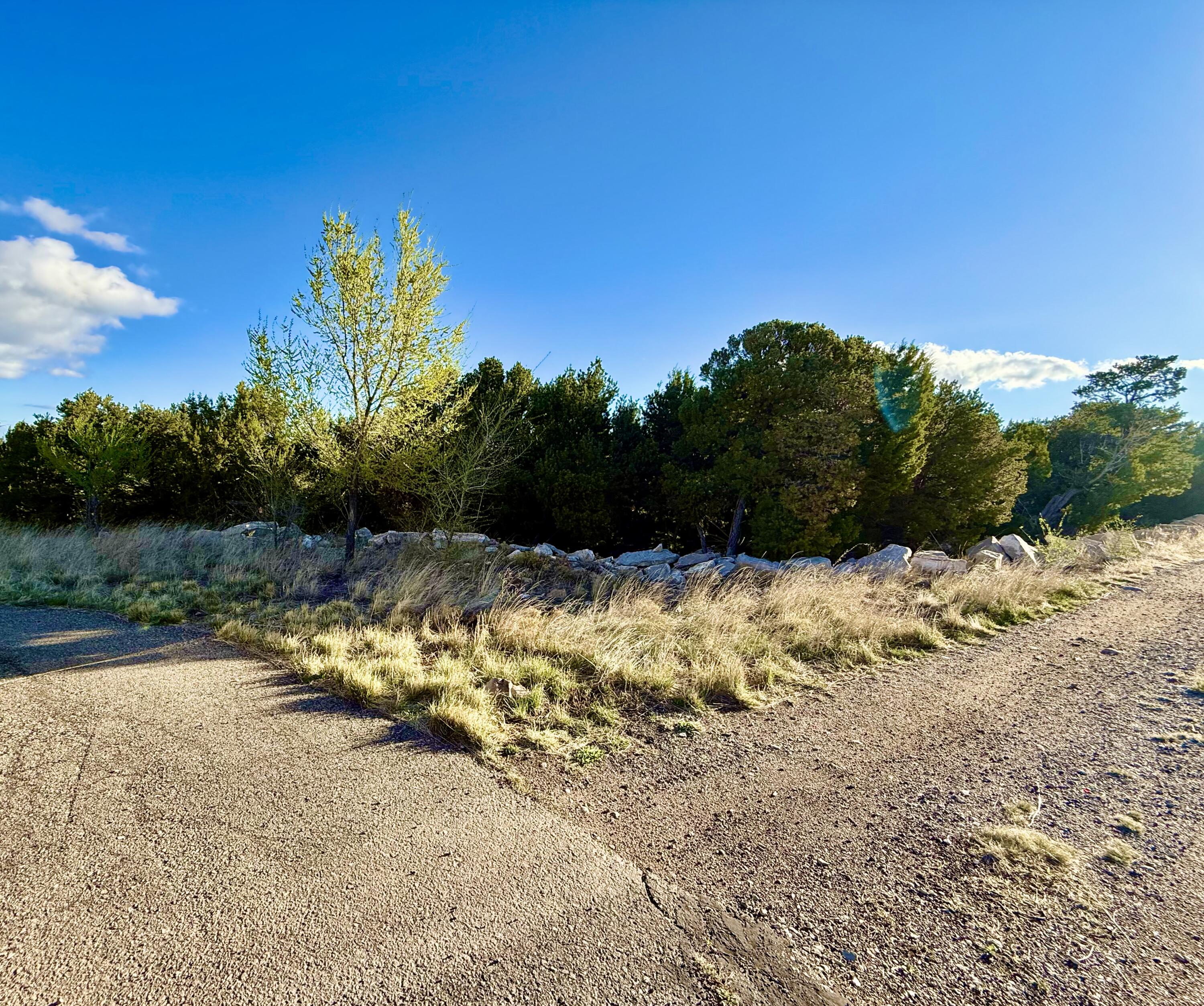Photo 13 — 221 Via Sedillo Road