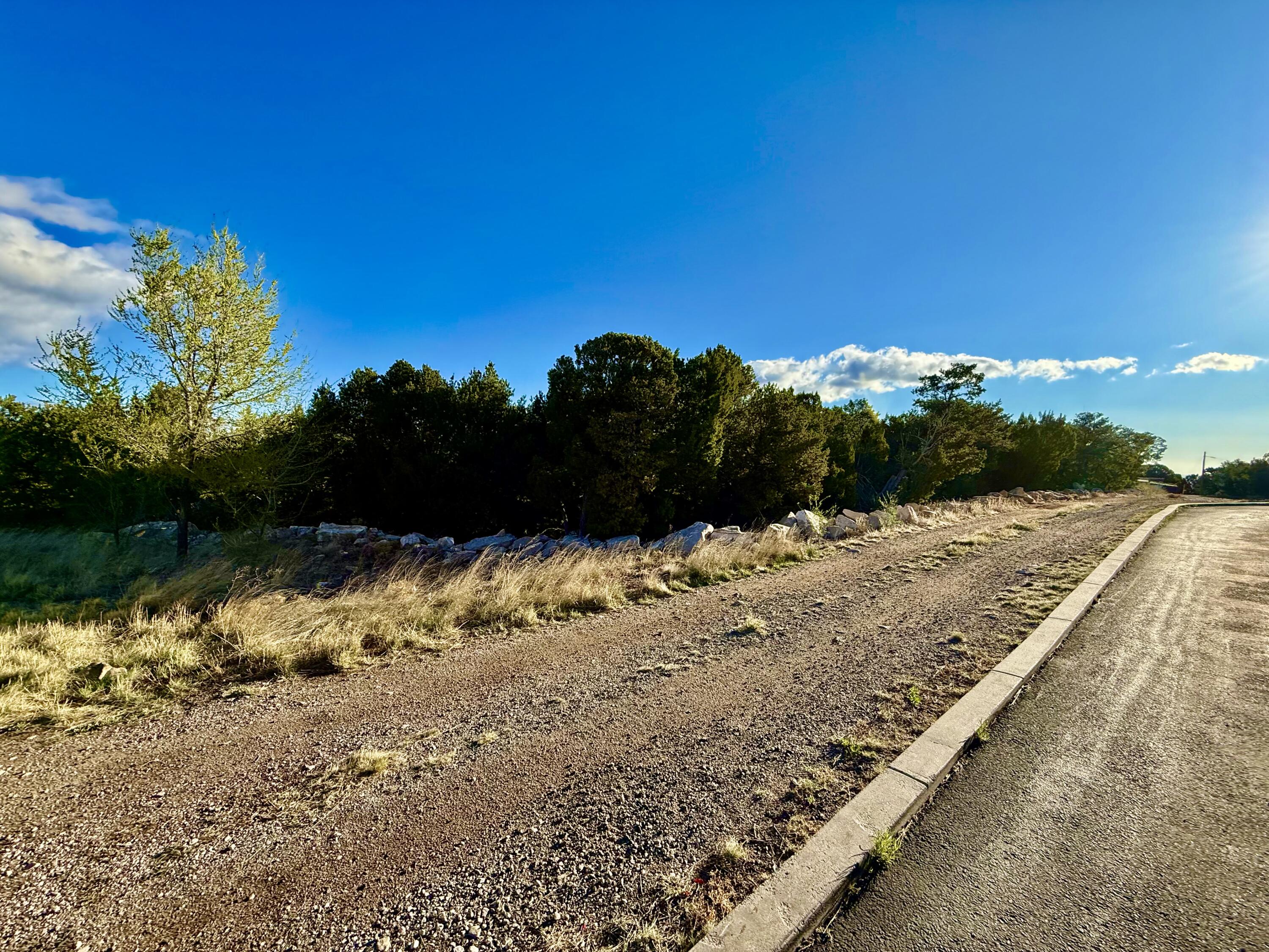 Photo 12 — 221 Via Sedillo Road