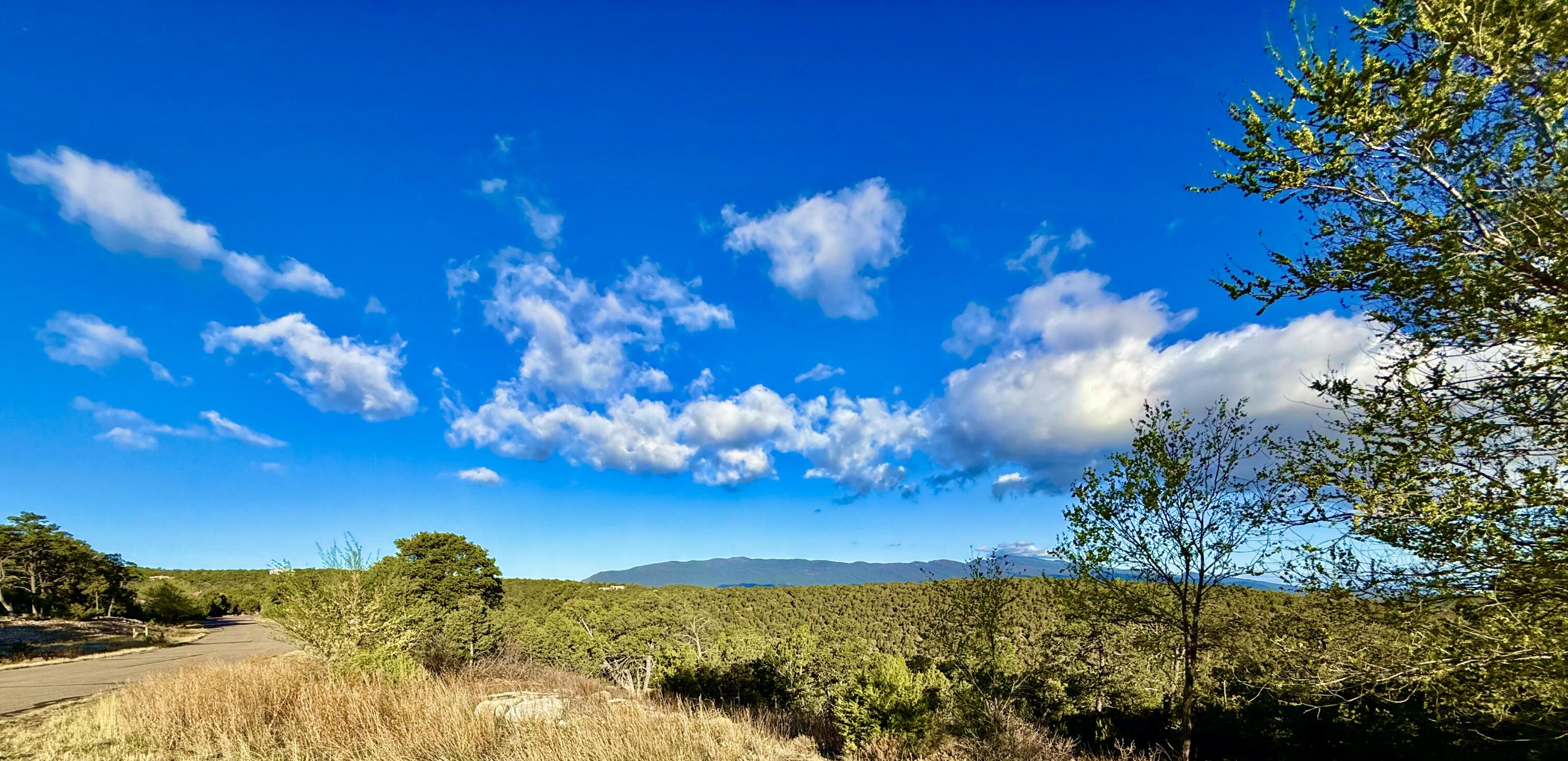 Photo 11 — 221 Via Sedillo Road