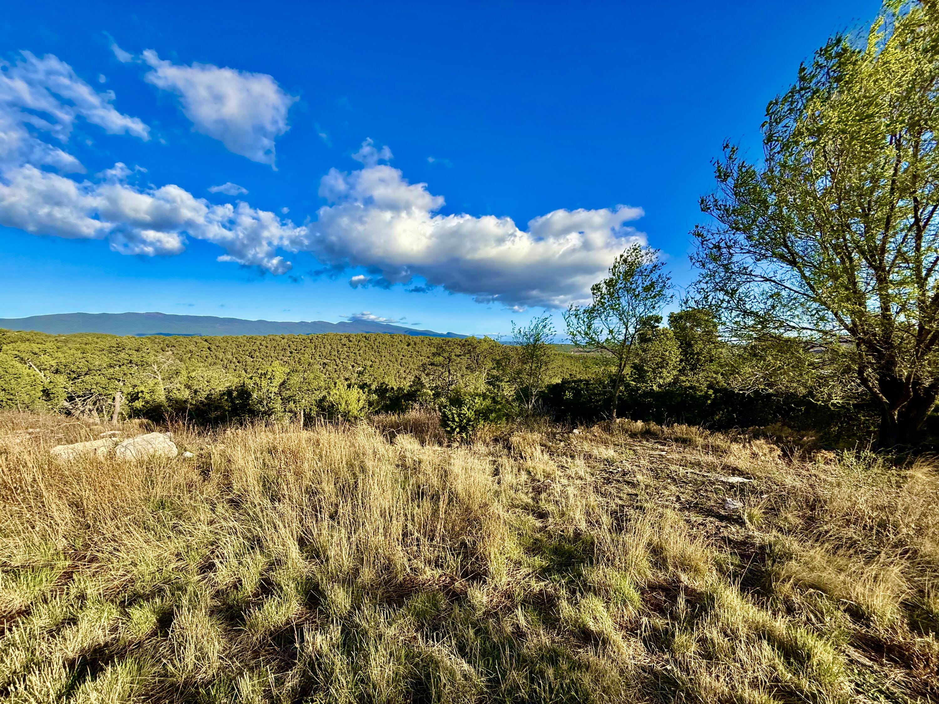 Photo 10 — 221 Via Sedillo Road