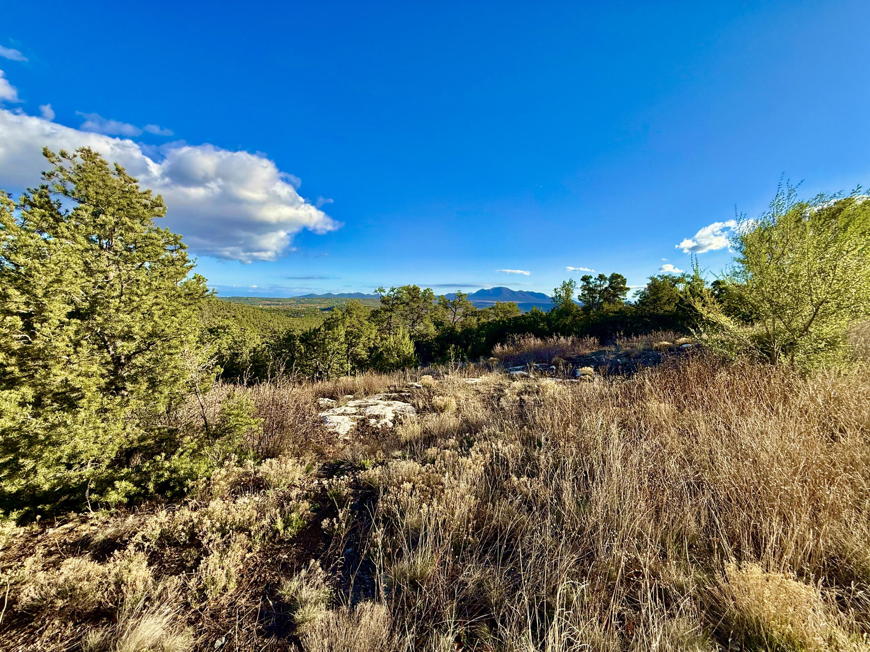 Photo 9 — 221 Via Sedillo Road