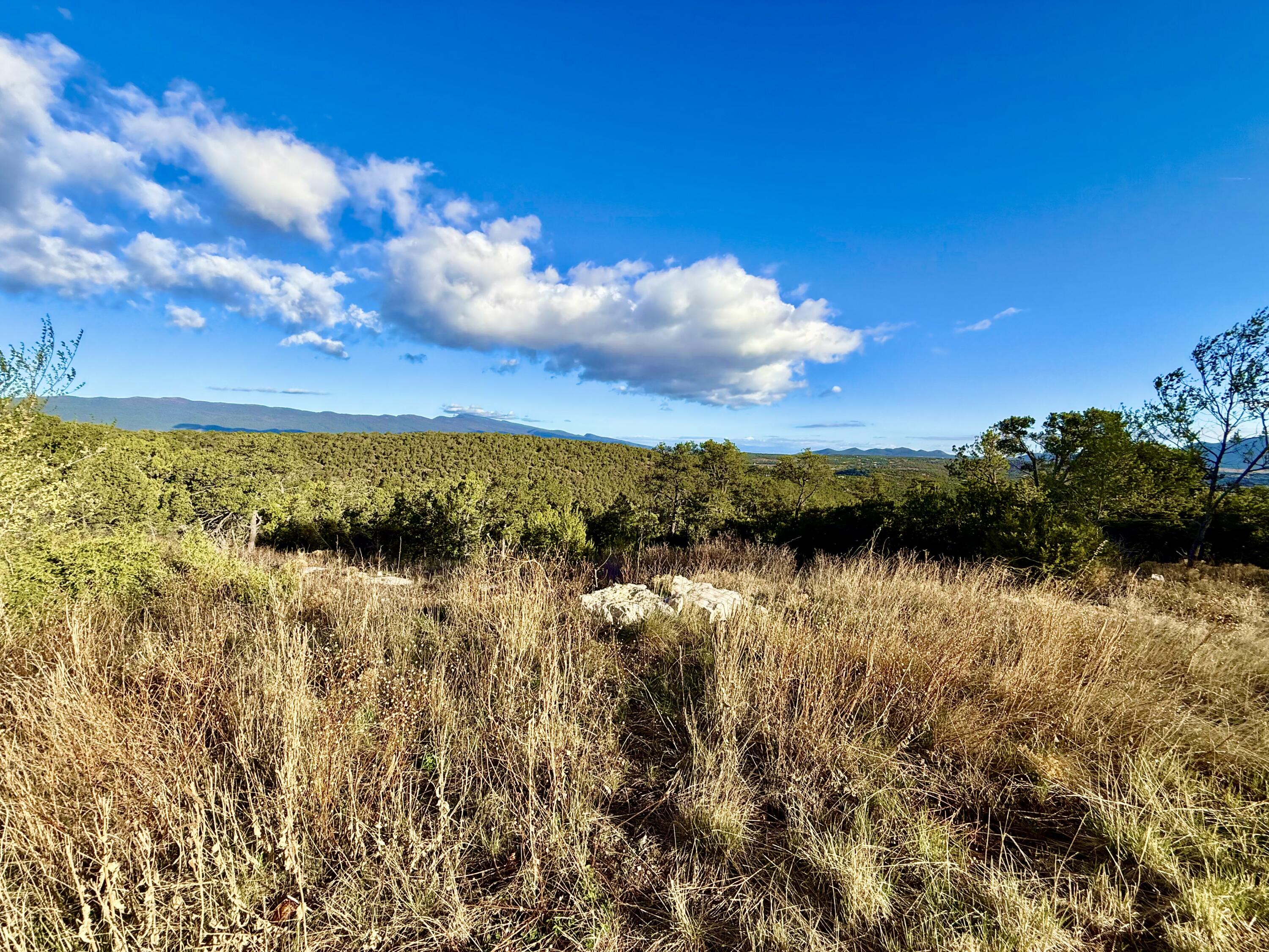 Photo 7 — 221 Via Sedillo Road