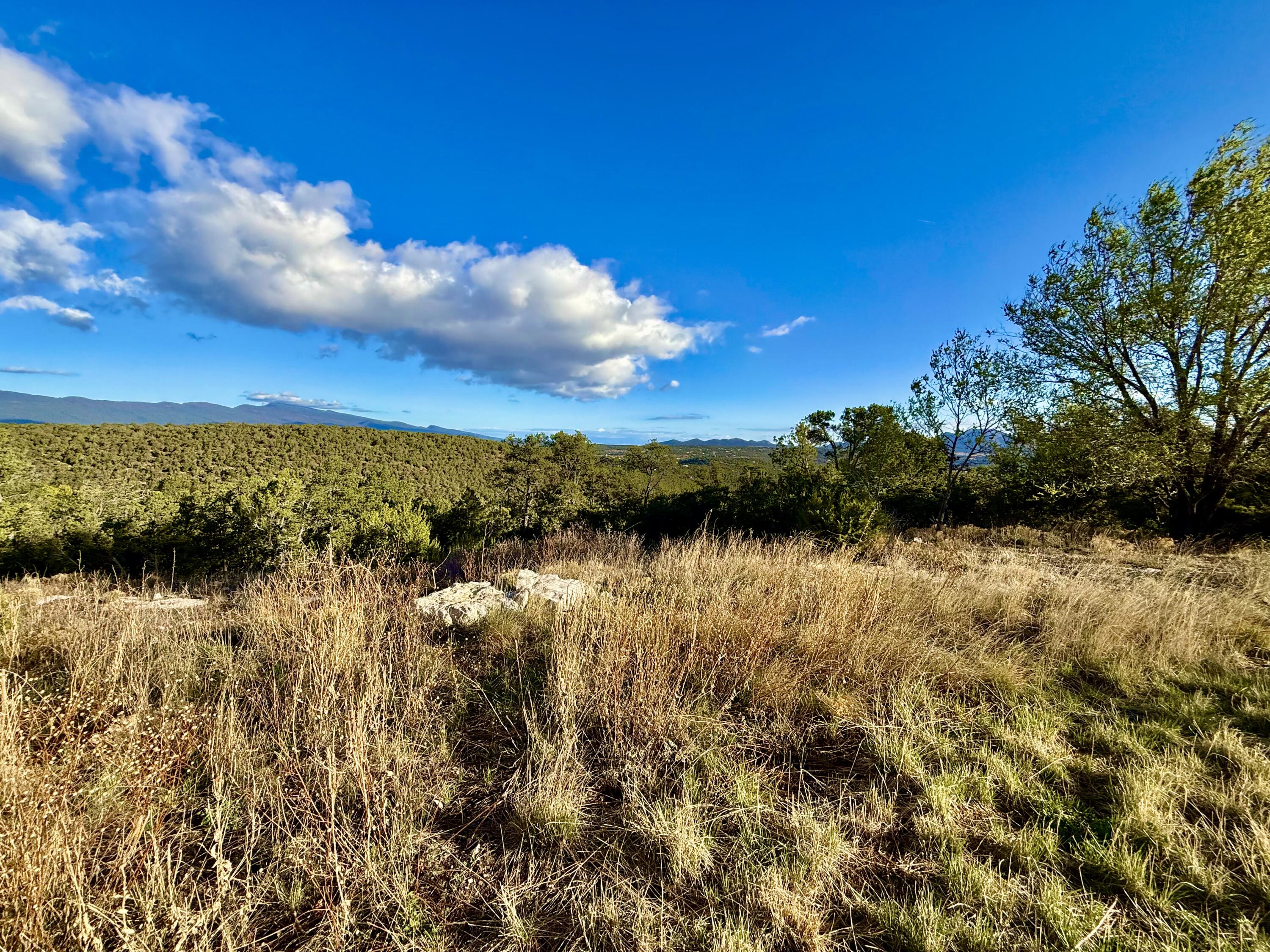 Photo 6 — 221 Via Sedillo Road