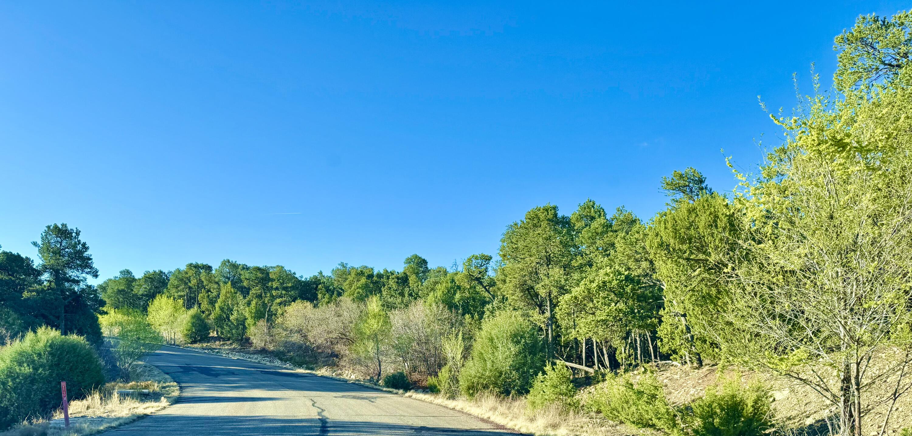 Photo 5 — 221 Via Sedillo Road