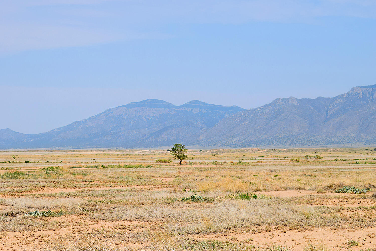 Photo 7 — Lot 23 Rio Del Oro Block 47 15