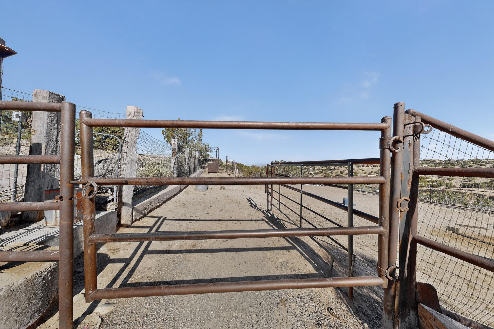 Photo 3 — 22 Cabezon Road