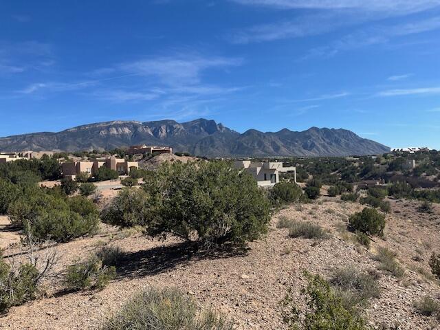 Photo 3 —  Lot 29 Desert Mountain