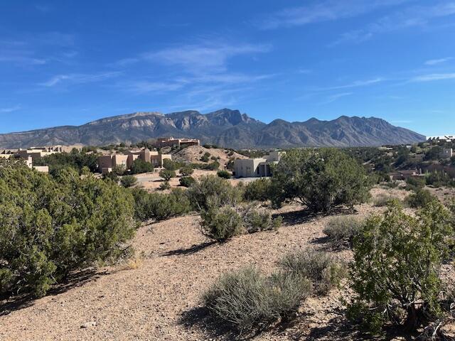 Photo 2 —  Lot 29 Desert Mountain