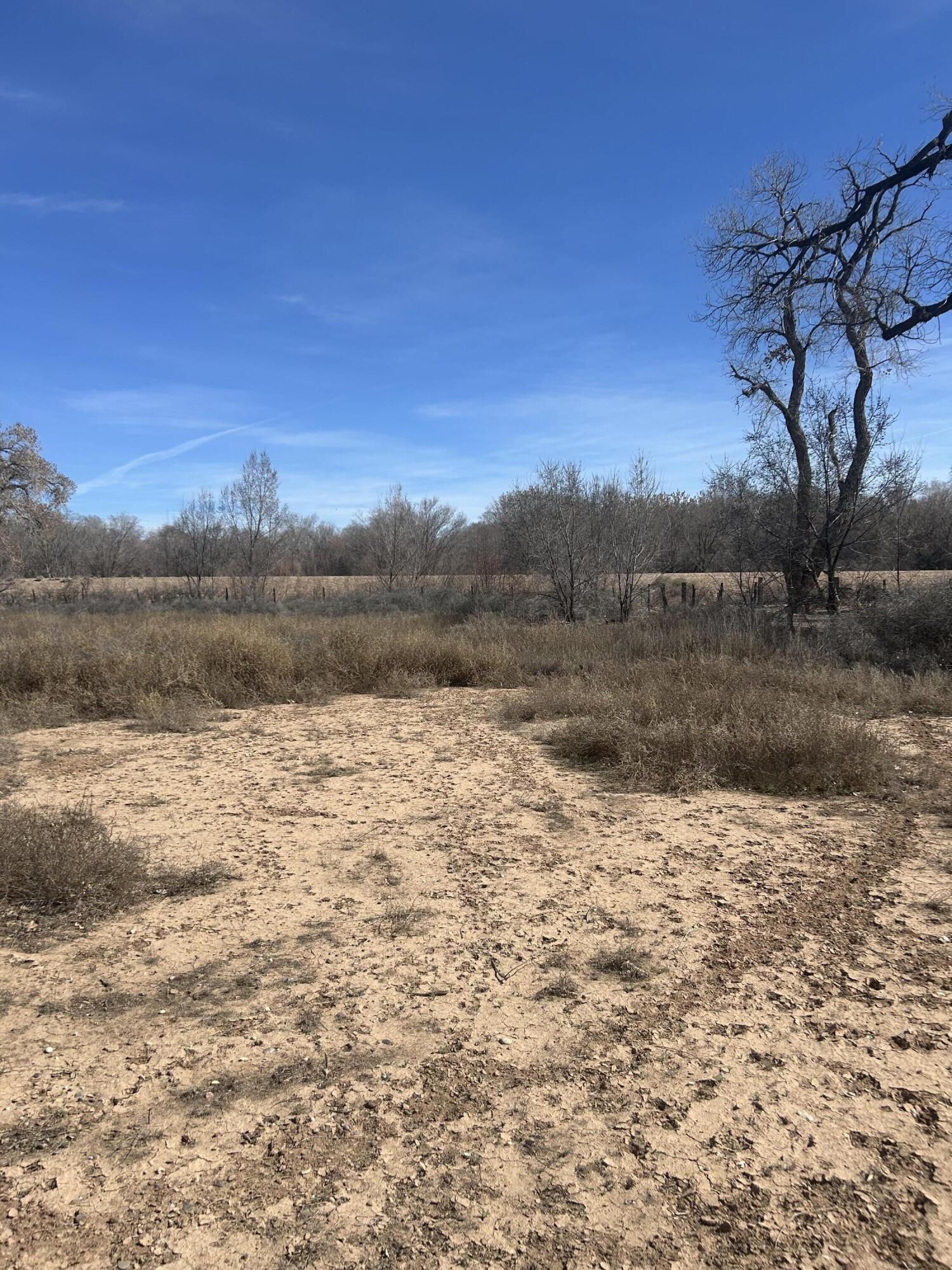 Photo 18 — 1991 Brown Road SW