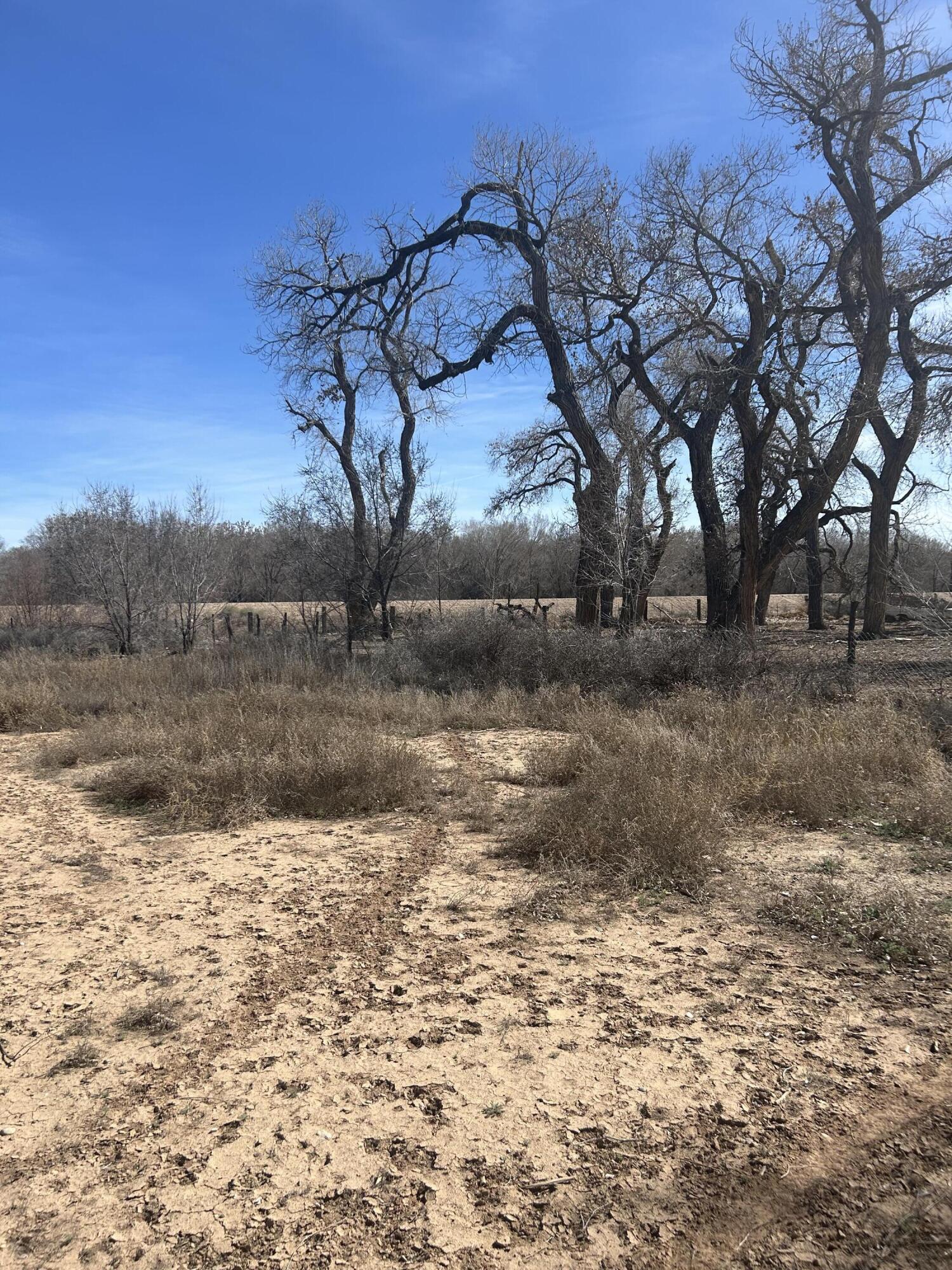 Photo 9 — 1991 Brown Road SW