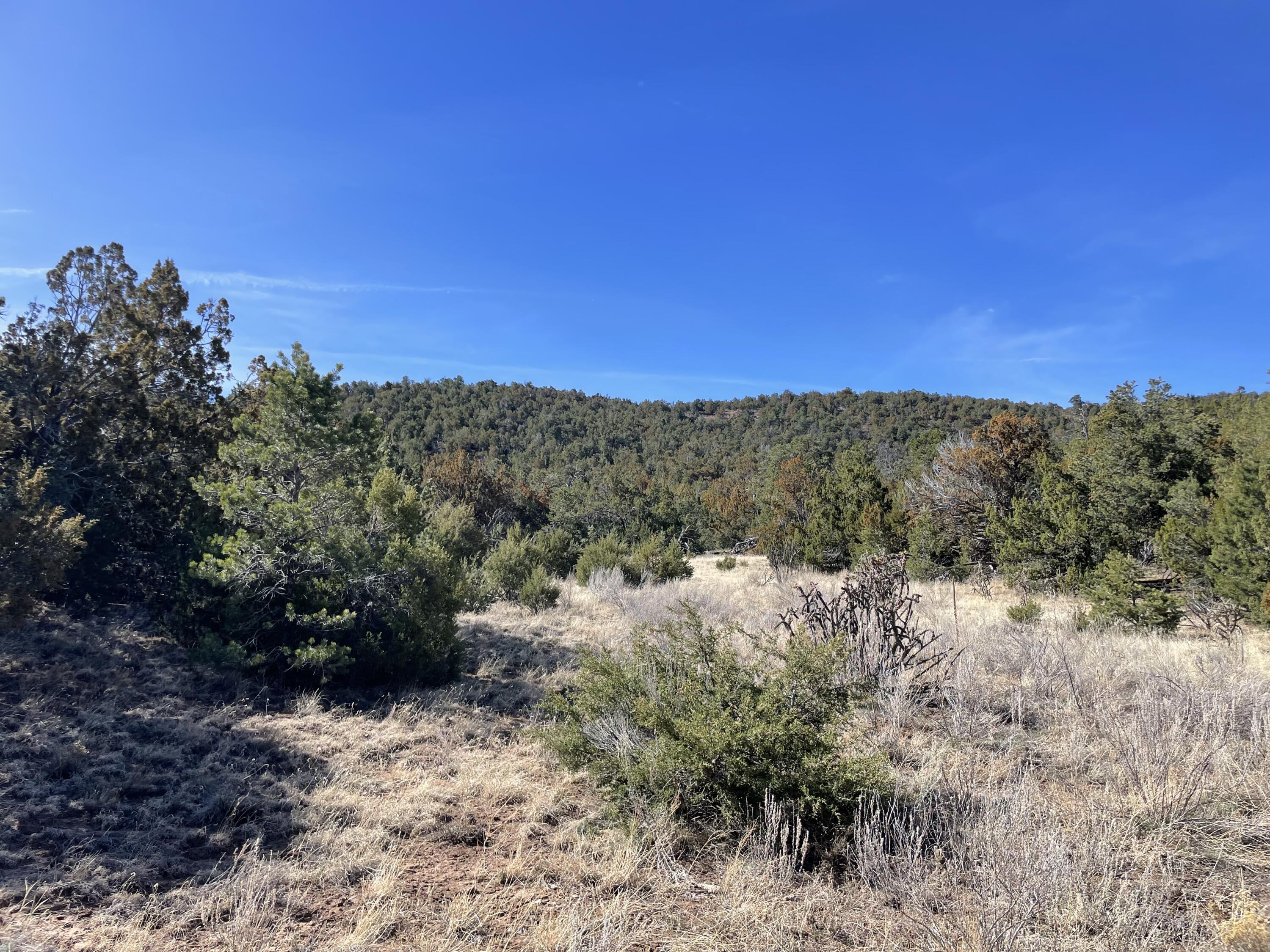 Photo 4 — 43 Canon Escondido Place