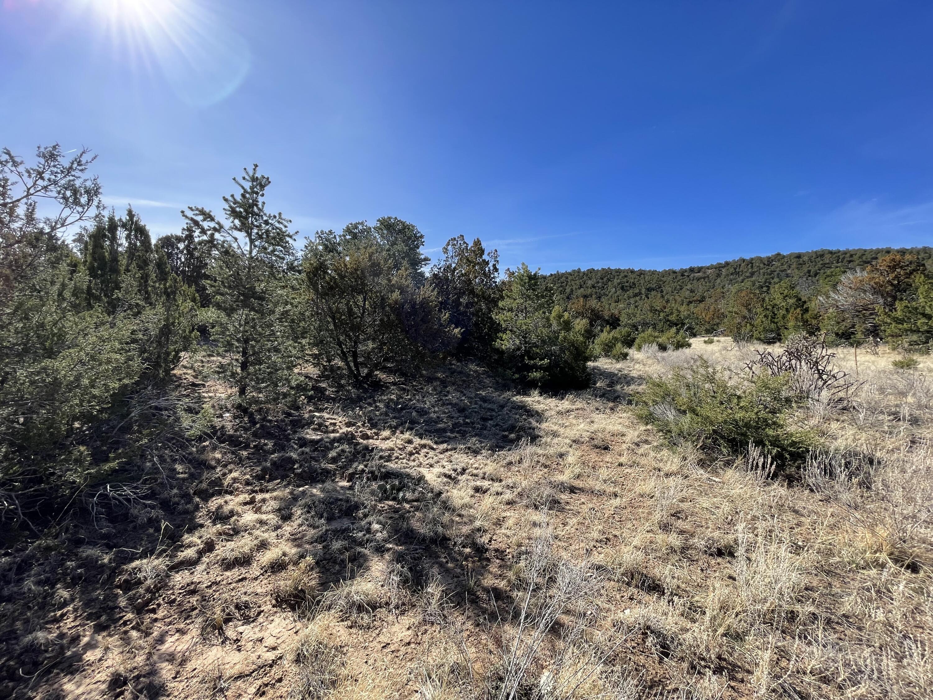 Photo 3 — 43 Canon Escondido Place