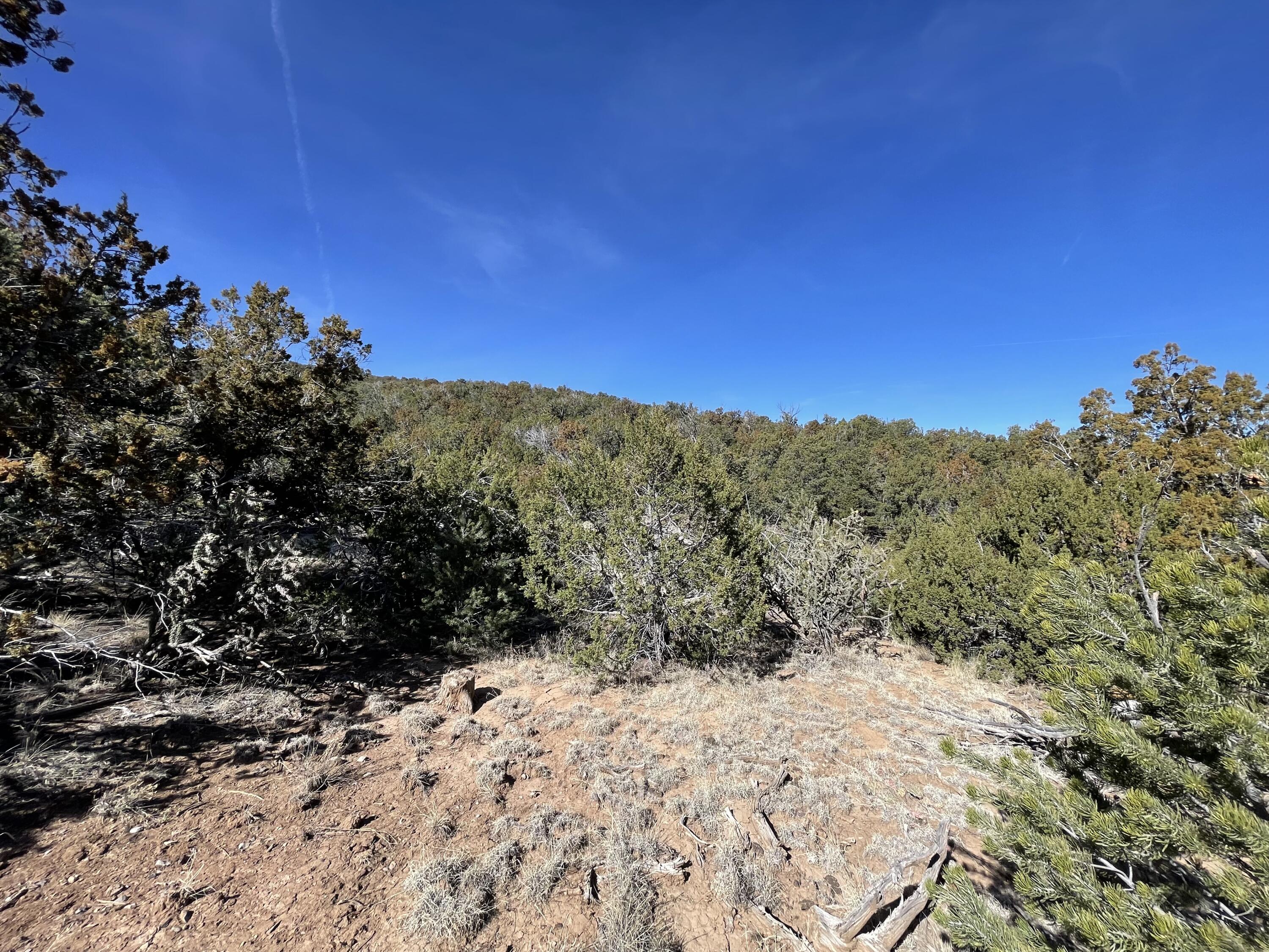 Photo 2 — 43 Canon Escondido Place