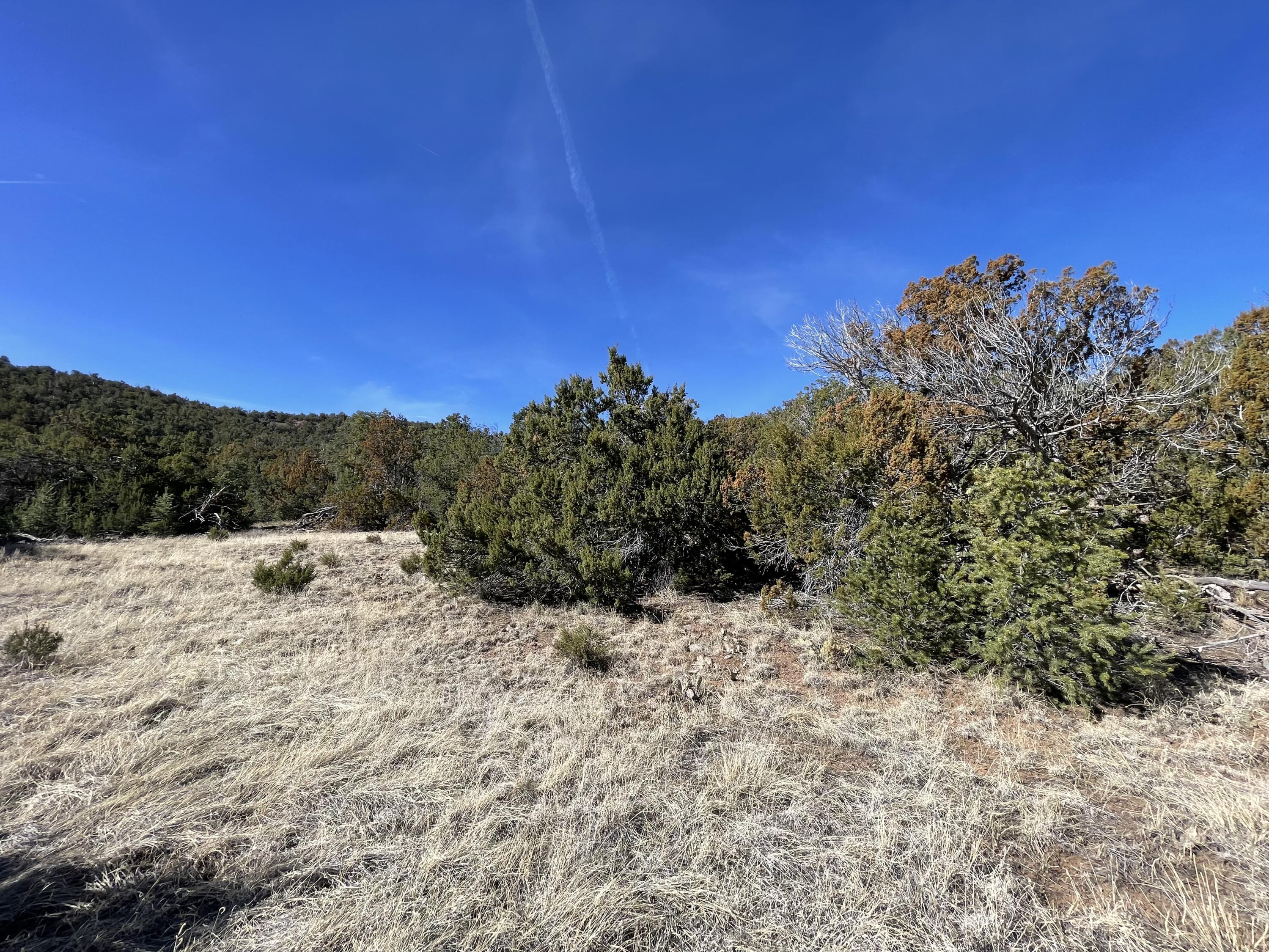 41 Canon Escondido Place, Sandia Park, NM 87047