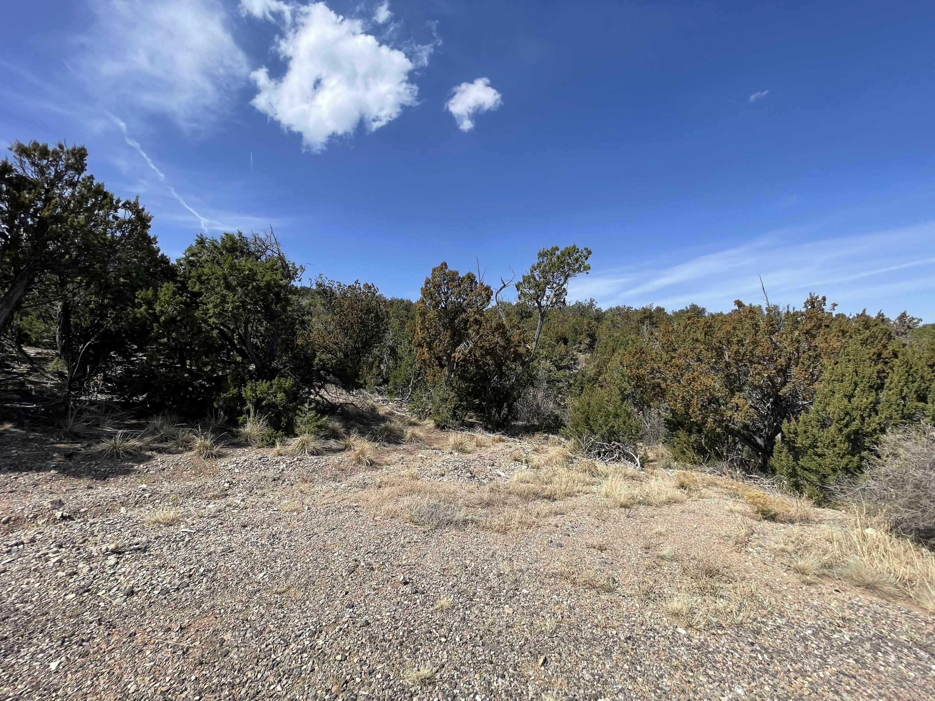 31 Canon Escondido, Sandia Park, NM 87047