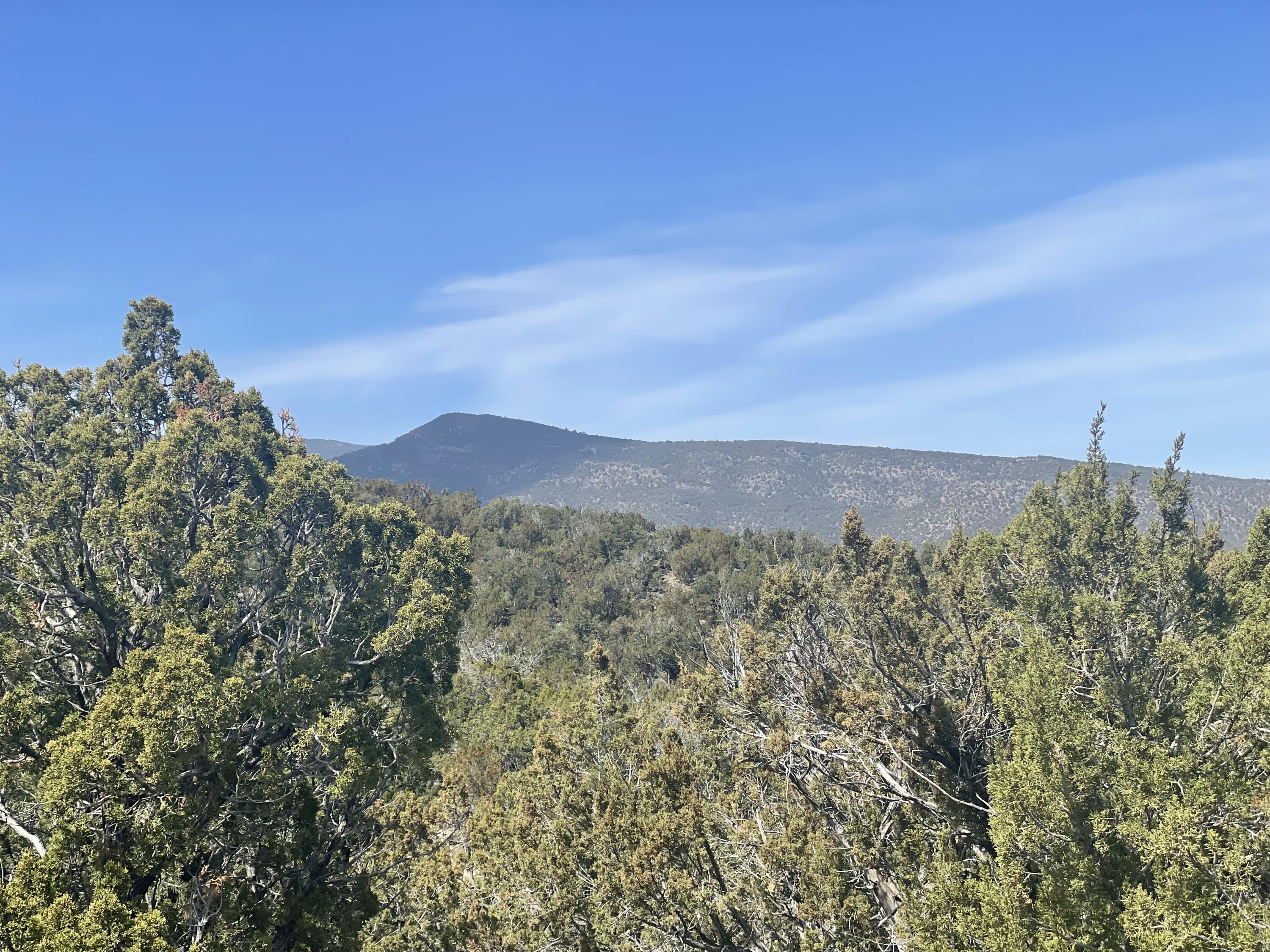 Photo 6 — 31 Canon Escondido