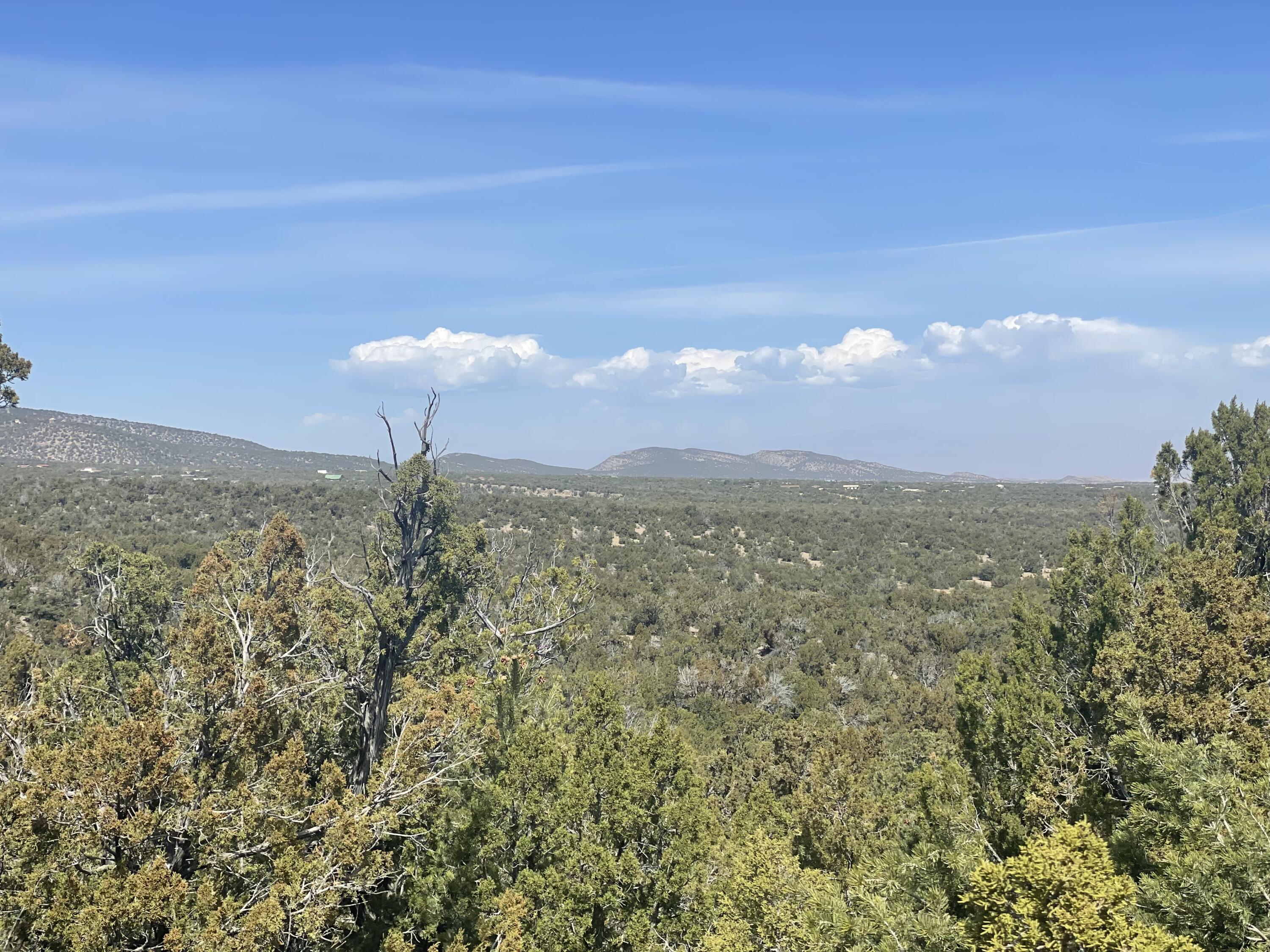 Photo 5 — 31 Canon Escondido