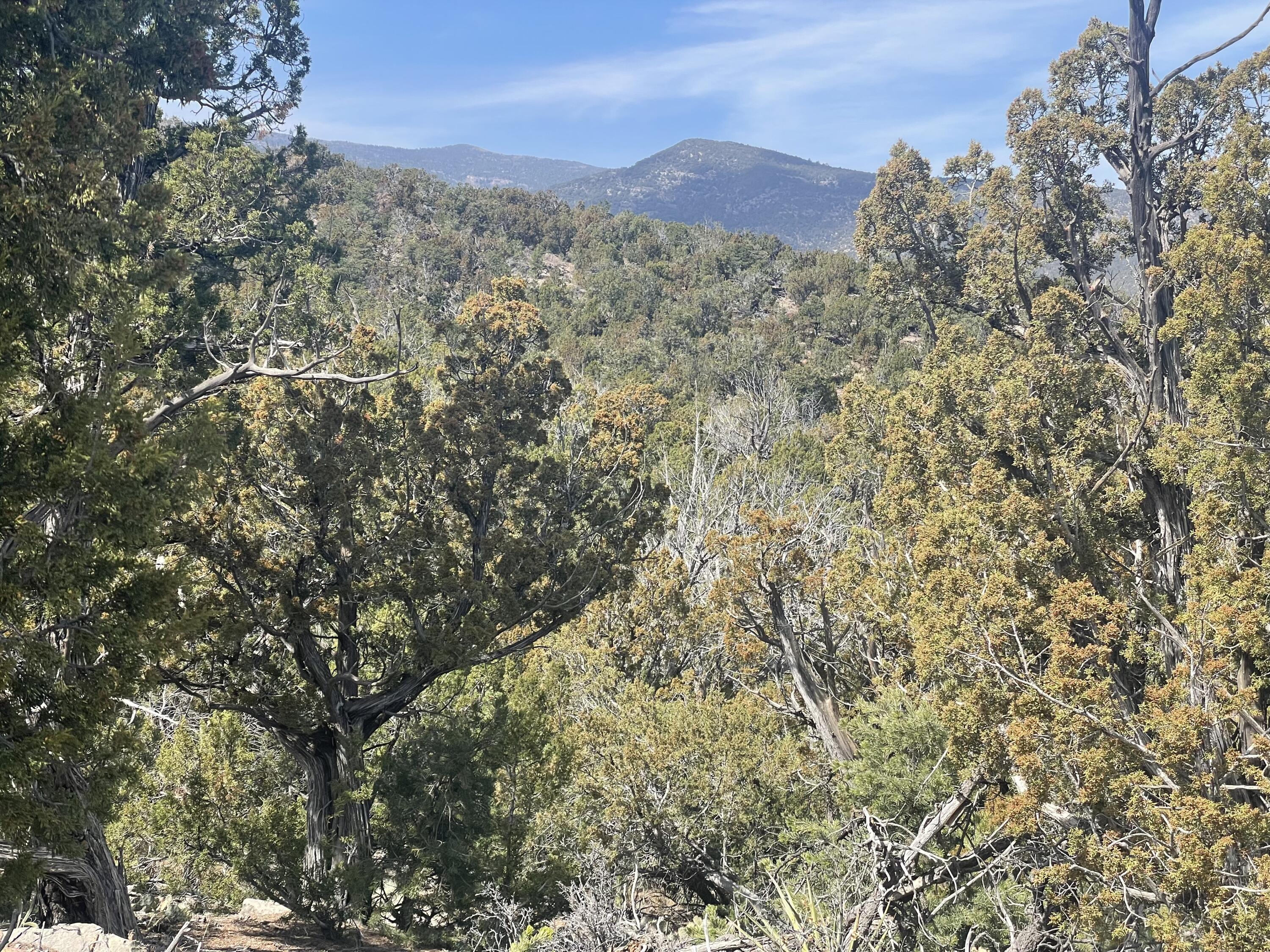 Photo 4 — 31 Canon Escondido